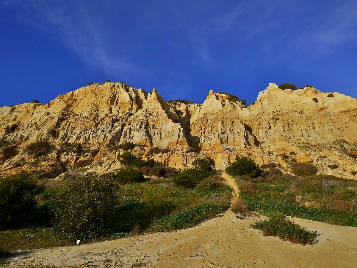 Andalusia, dunes on the beach of Mazagon