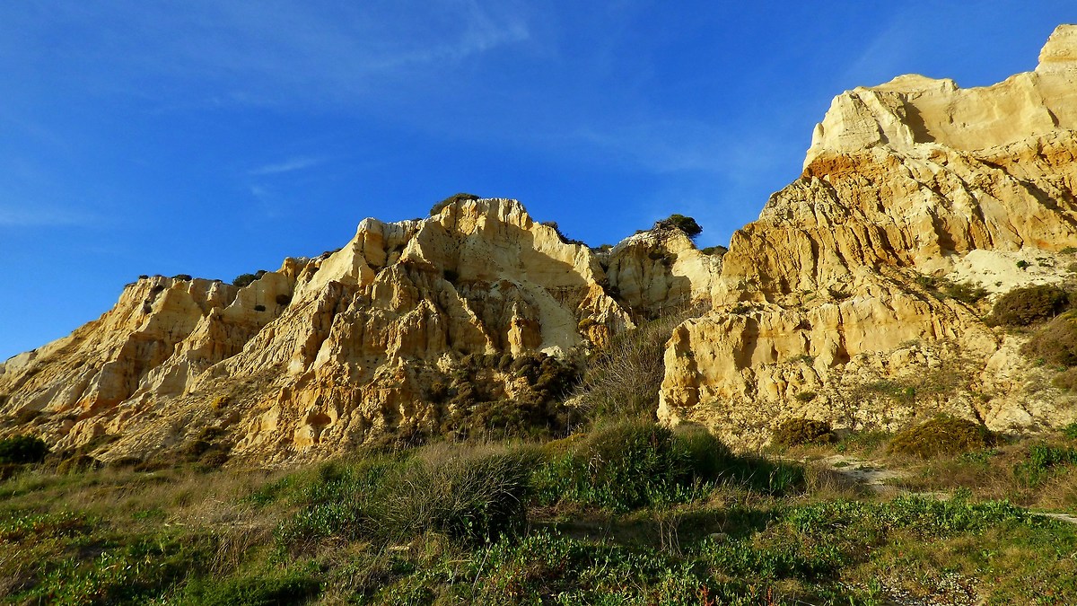 Dunes on the beach of Mazagon, Andalusia