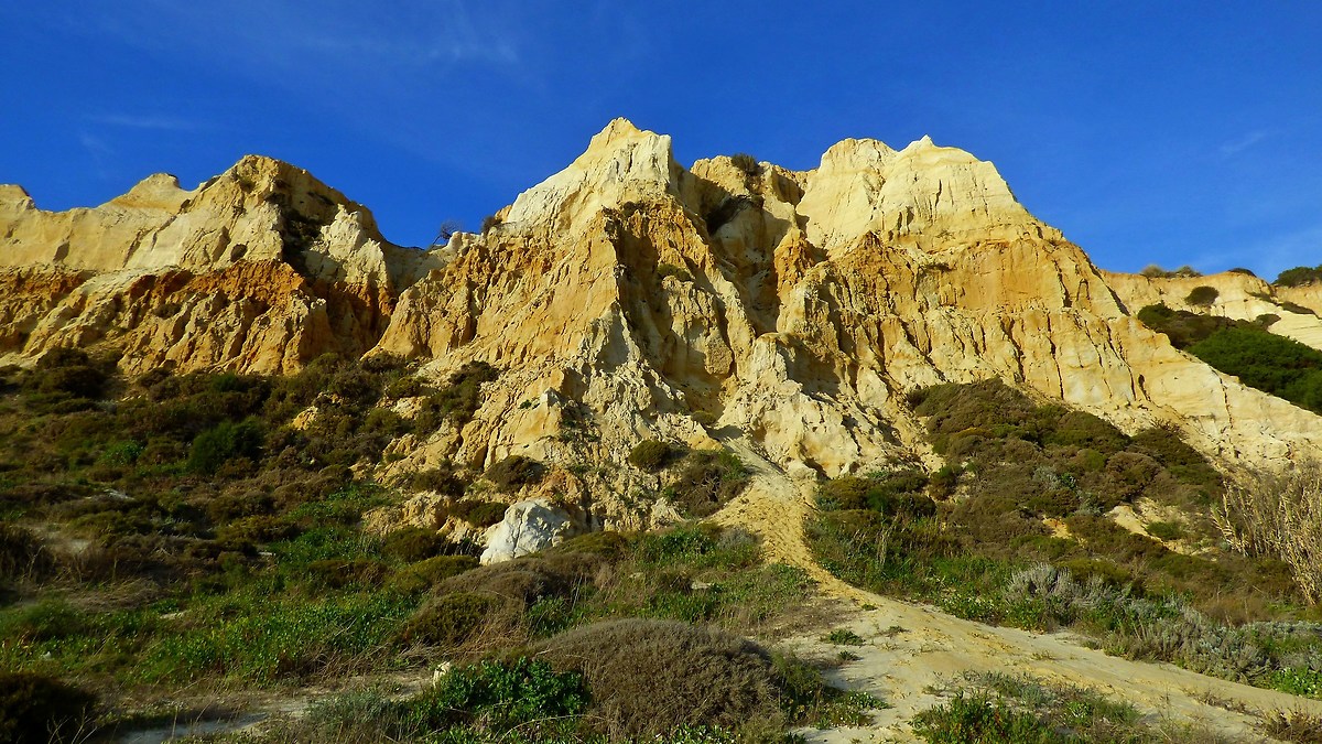 Dunes on the beach of Mazagon, Andalusia