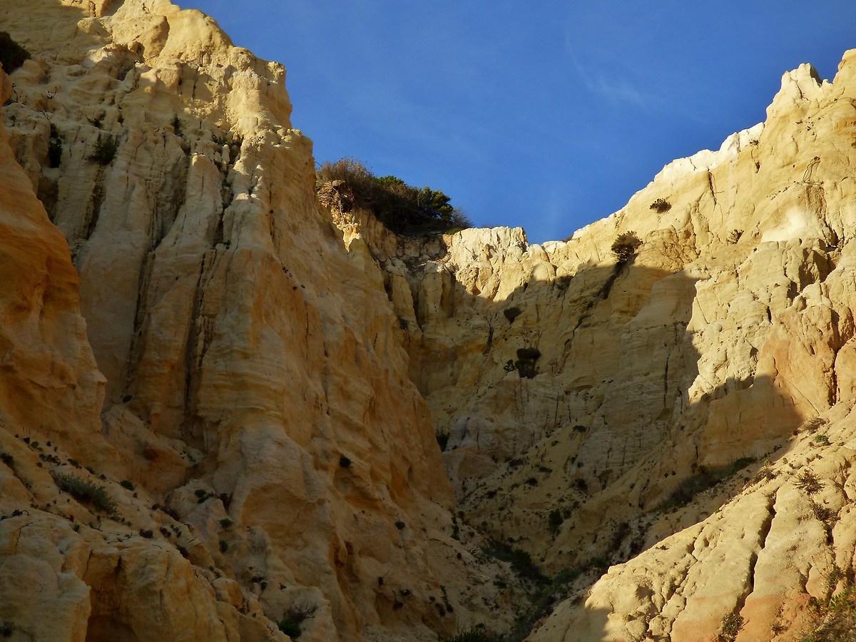 Dunes on the beach of Mazagon, Andalusia