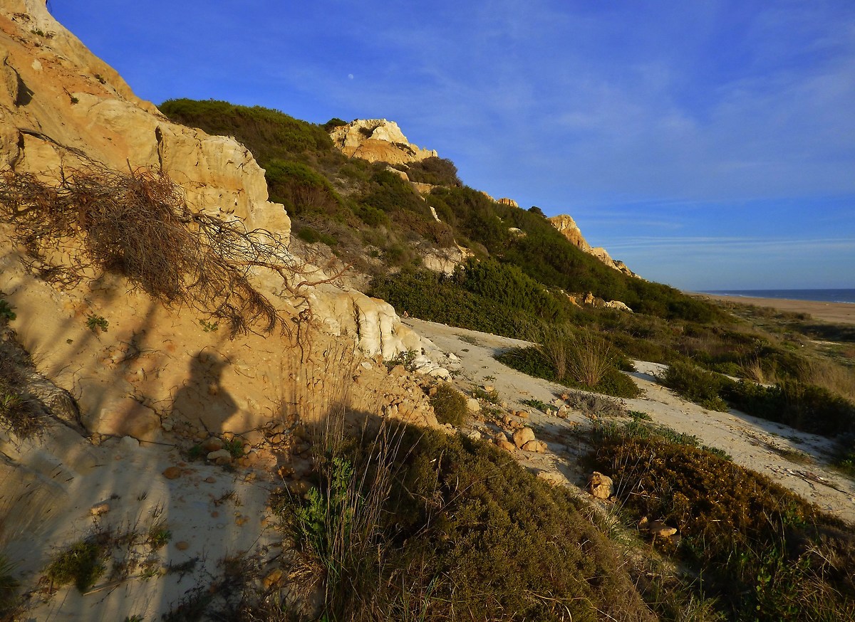 Dunes on the beach of Mazagon, Andalusia
