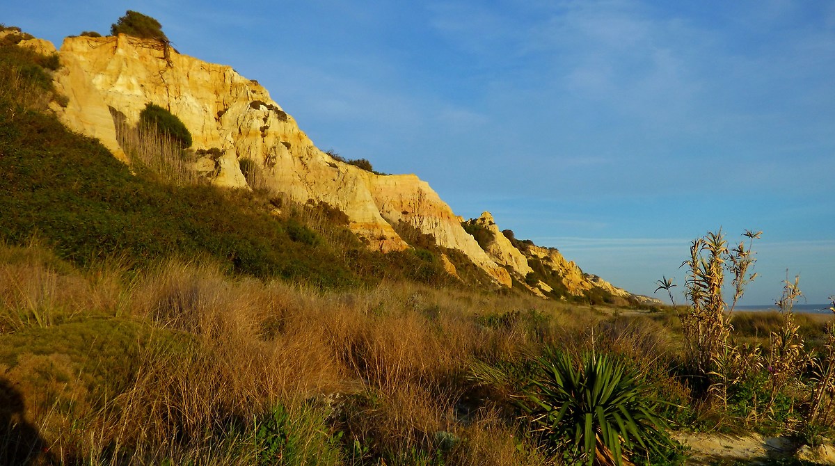 Dunes on the beach of Mazagon, Andalusia