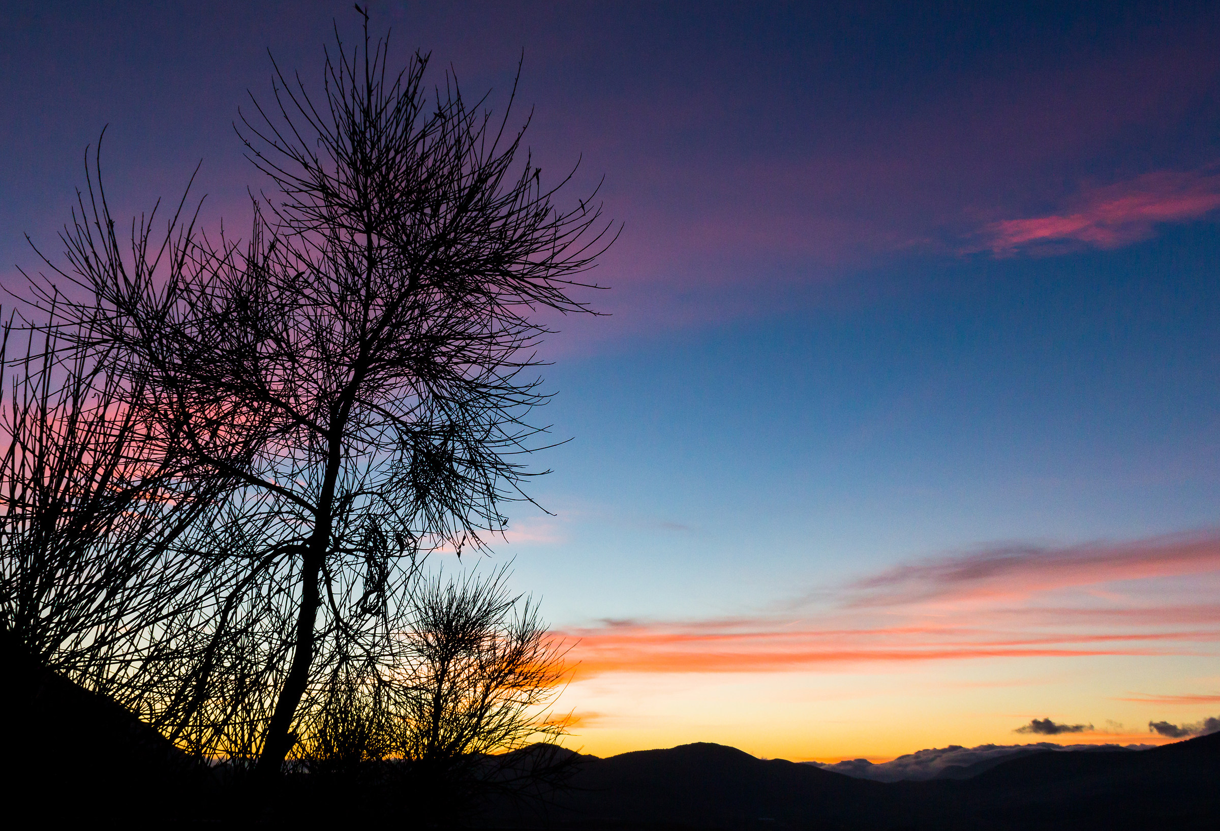 Siluette Multicolor 2