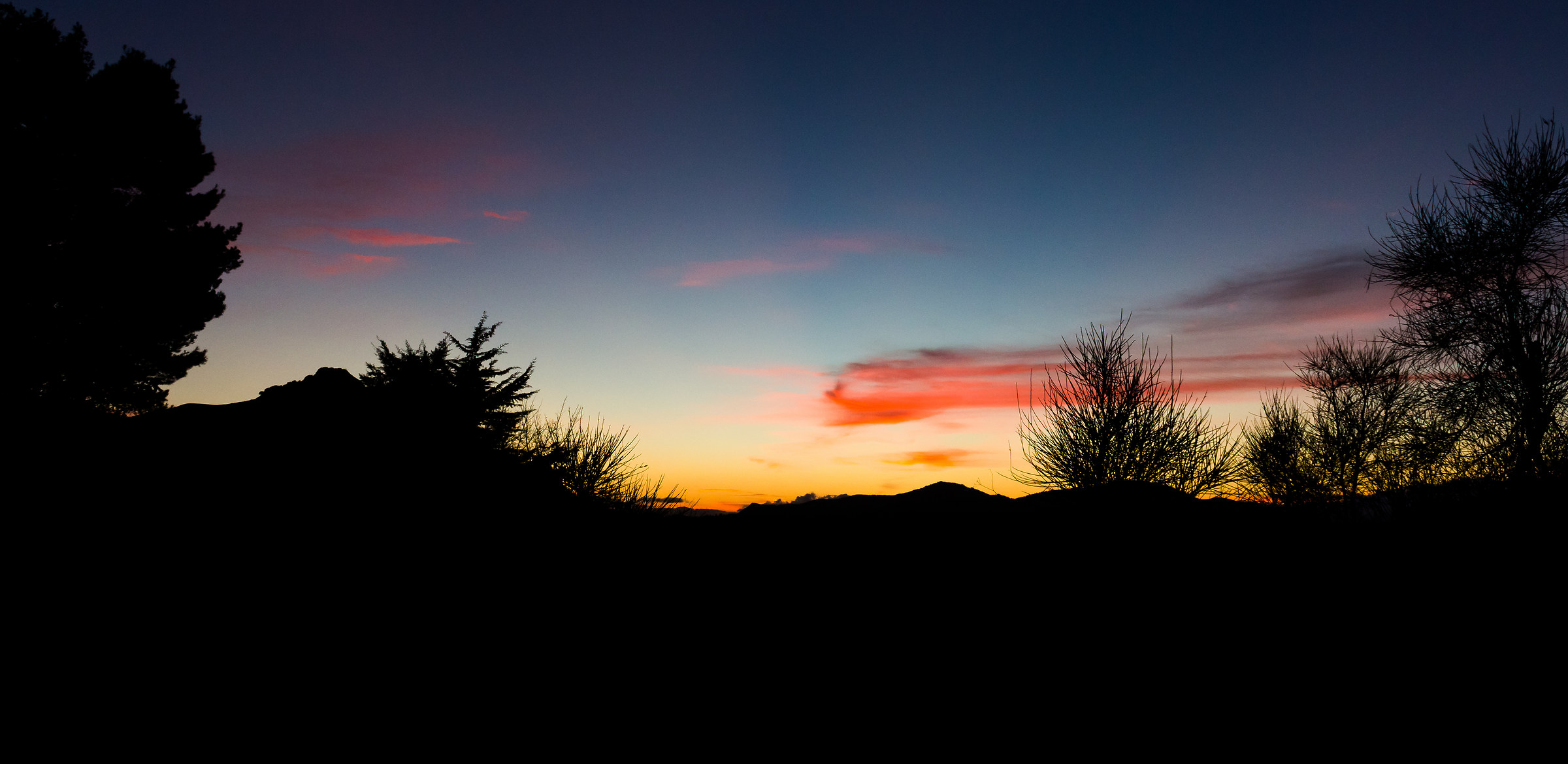 Silhouettes Multicolor 3