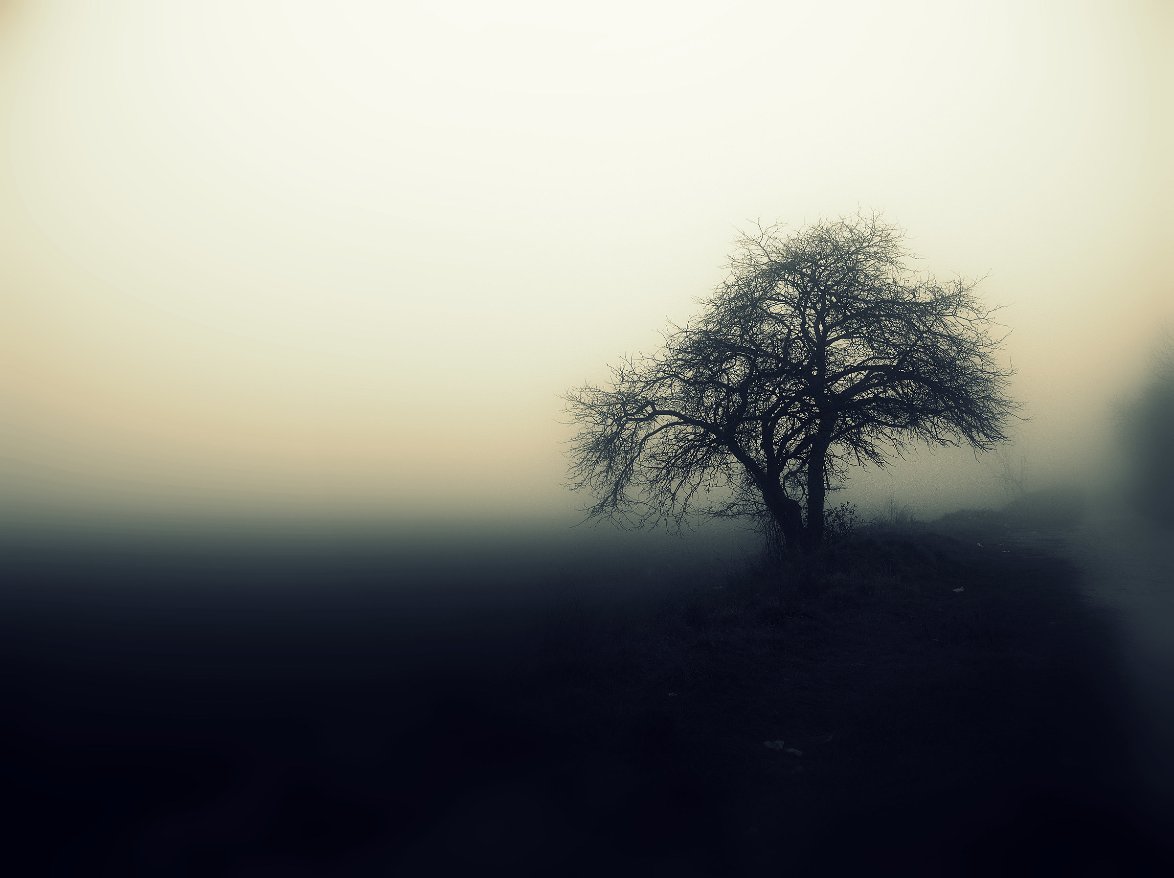 Only the banks of the lagoon