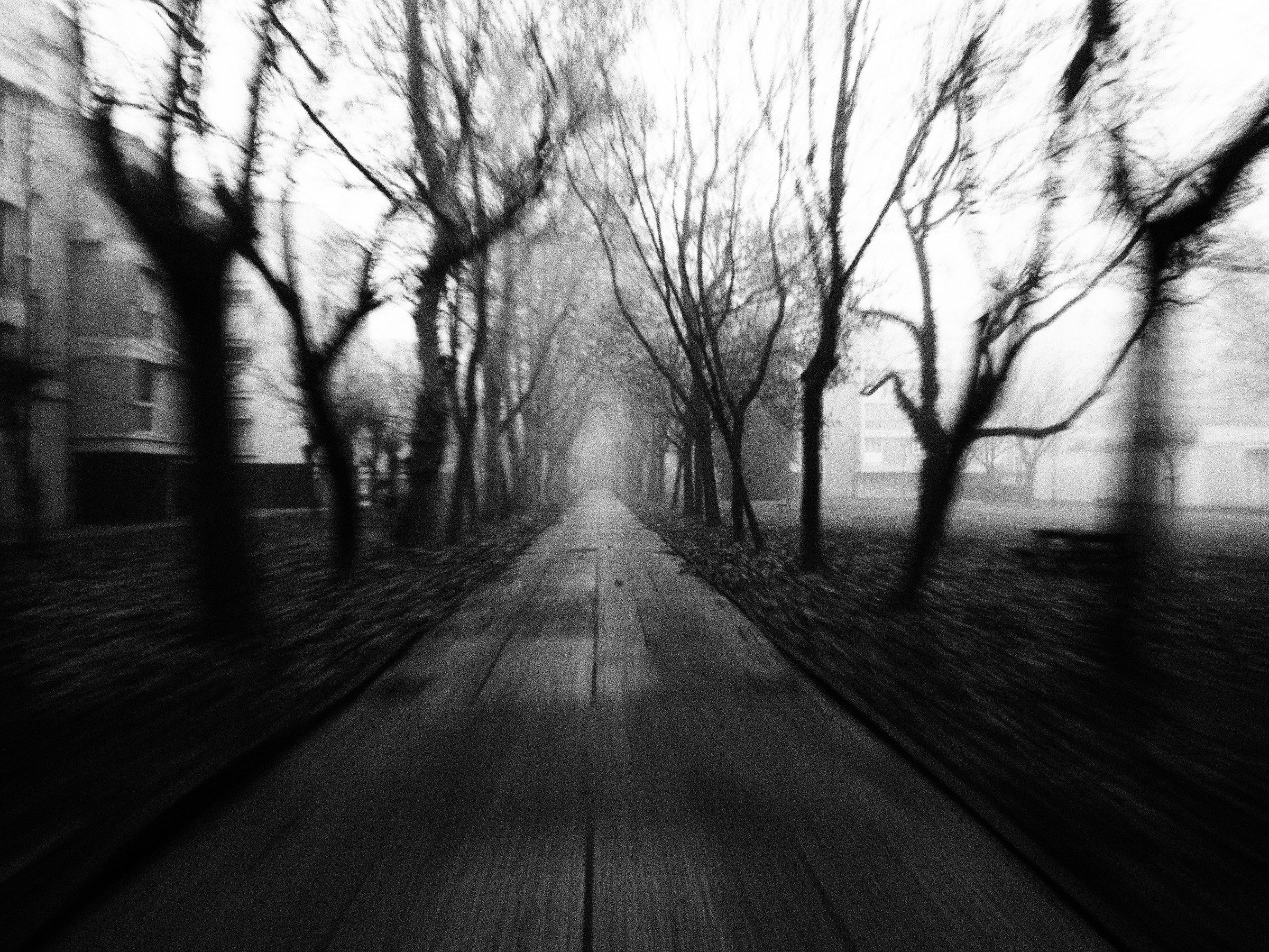 In Bici nella nebbia - Quartiere CEP Campalto (ve)