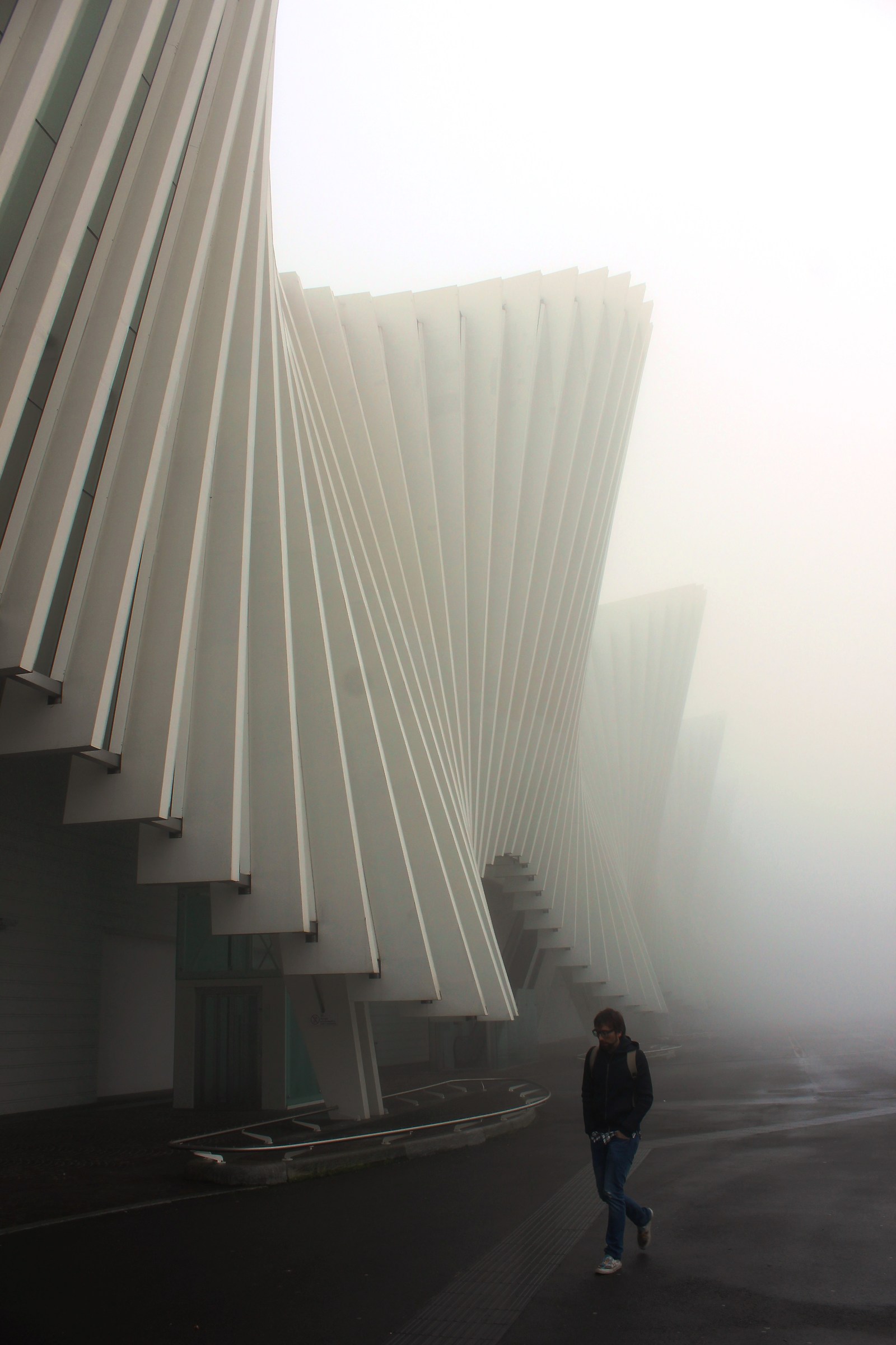 Alta Velocità nella nebbia...