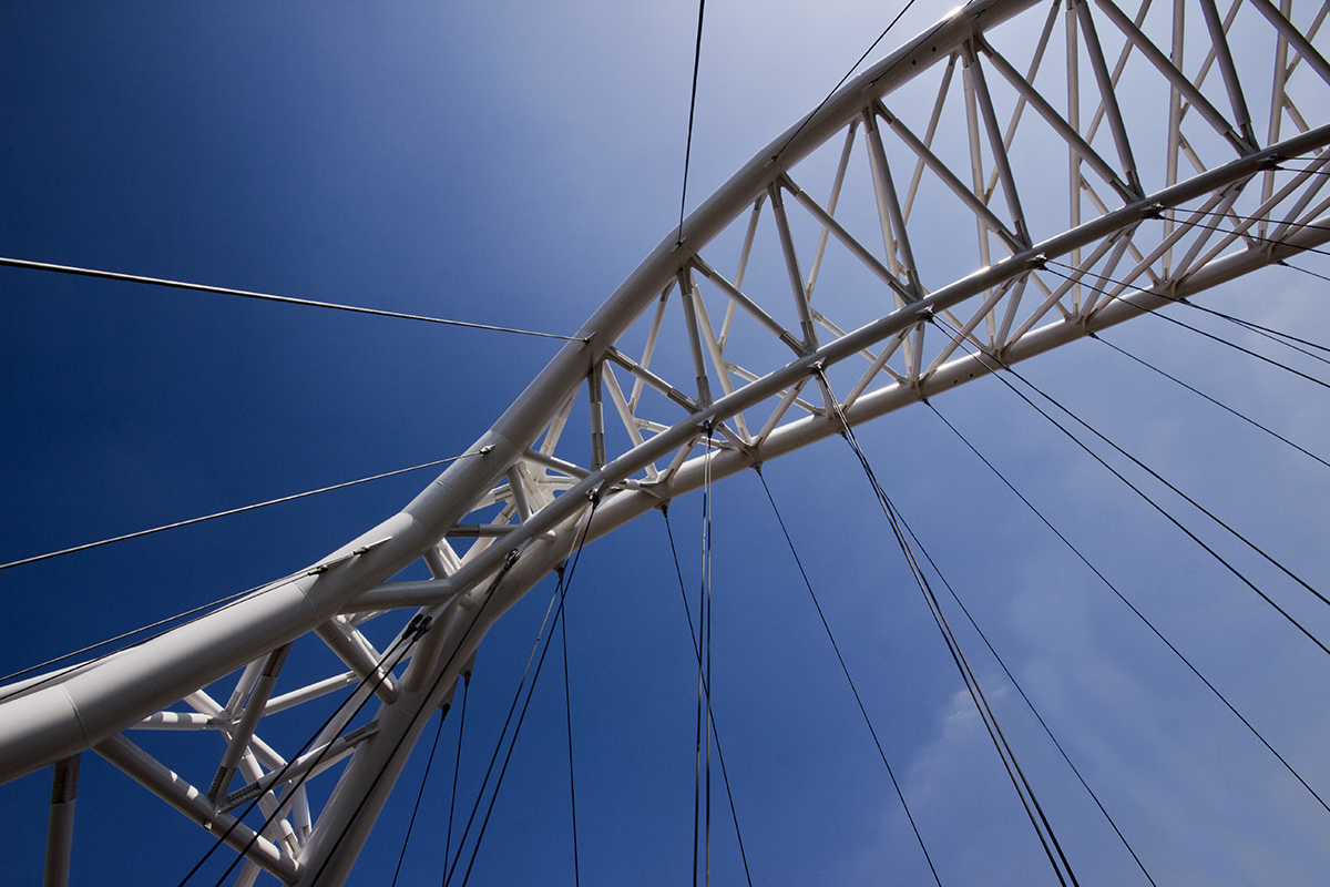 Quella strana creatura