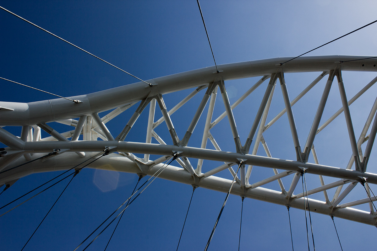 Quella strana creatura 2