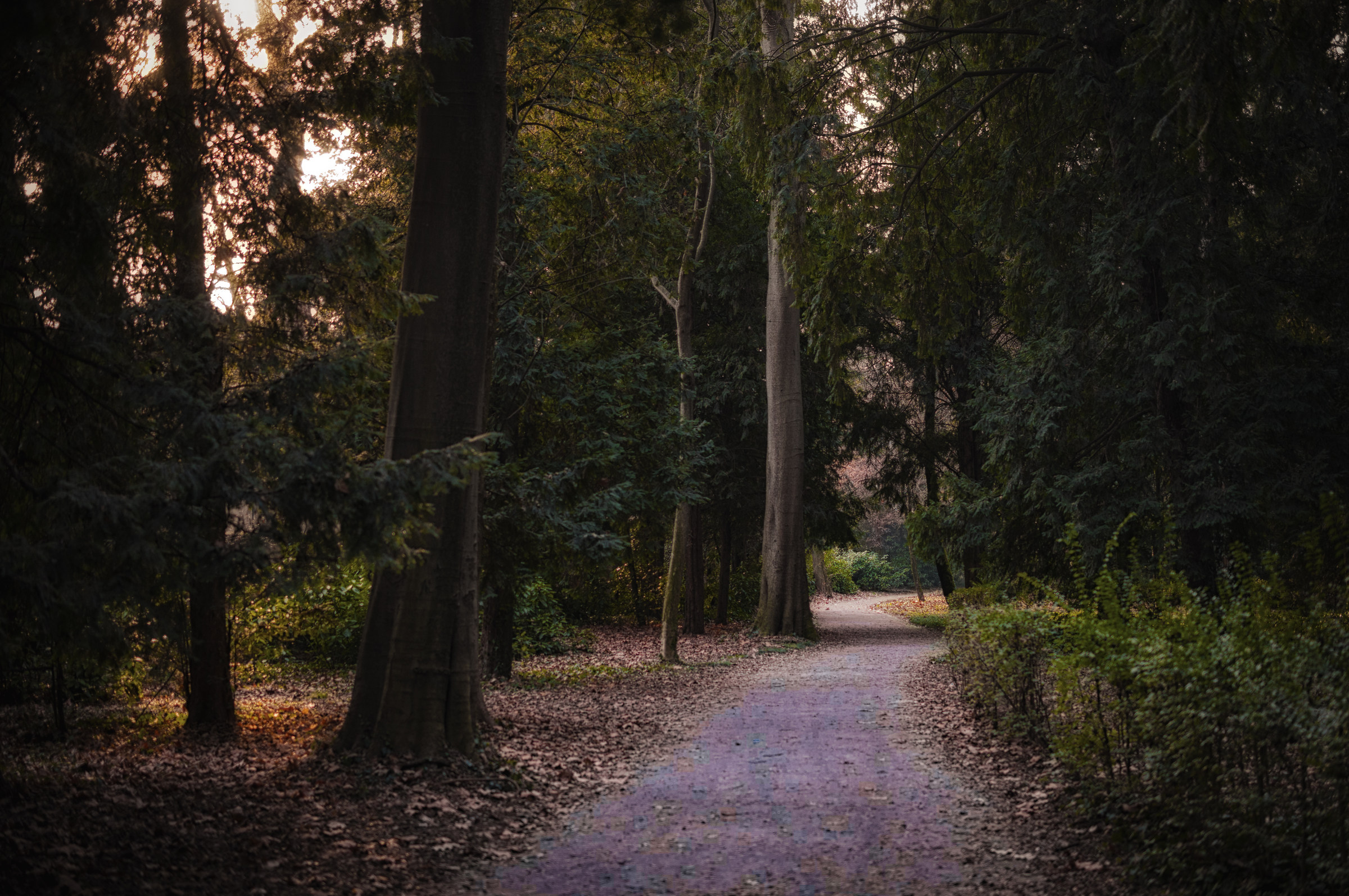 Parco di Villa Ghirlanda