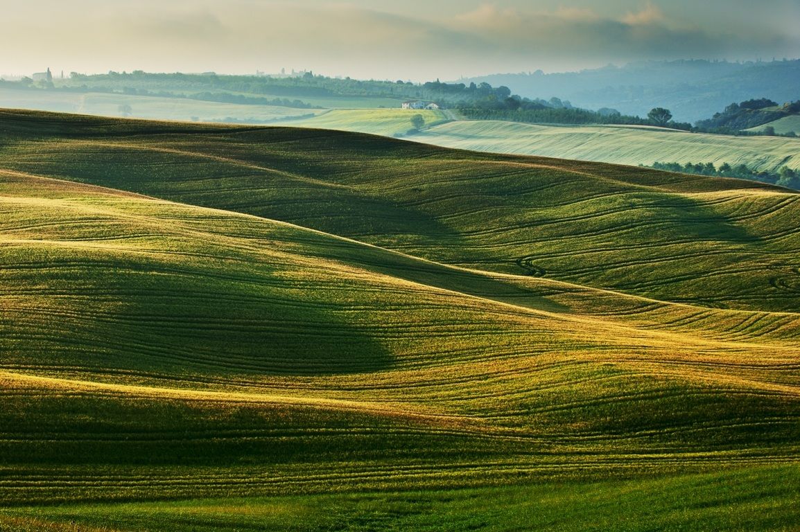 colline di grano