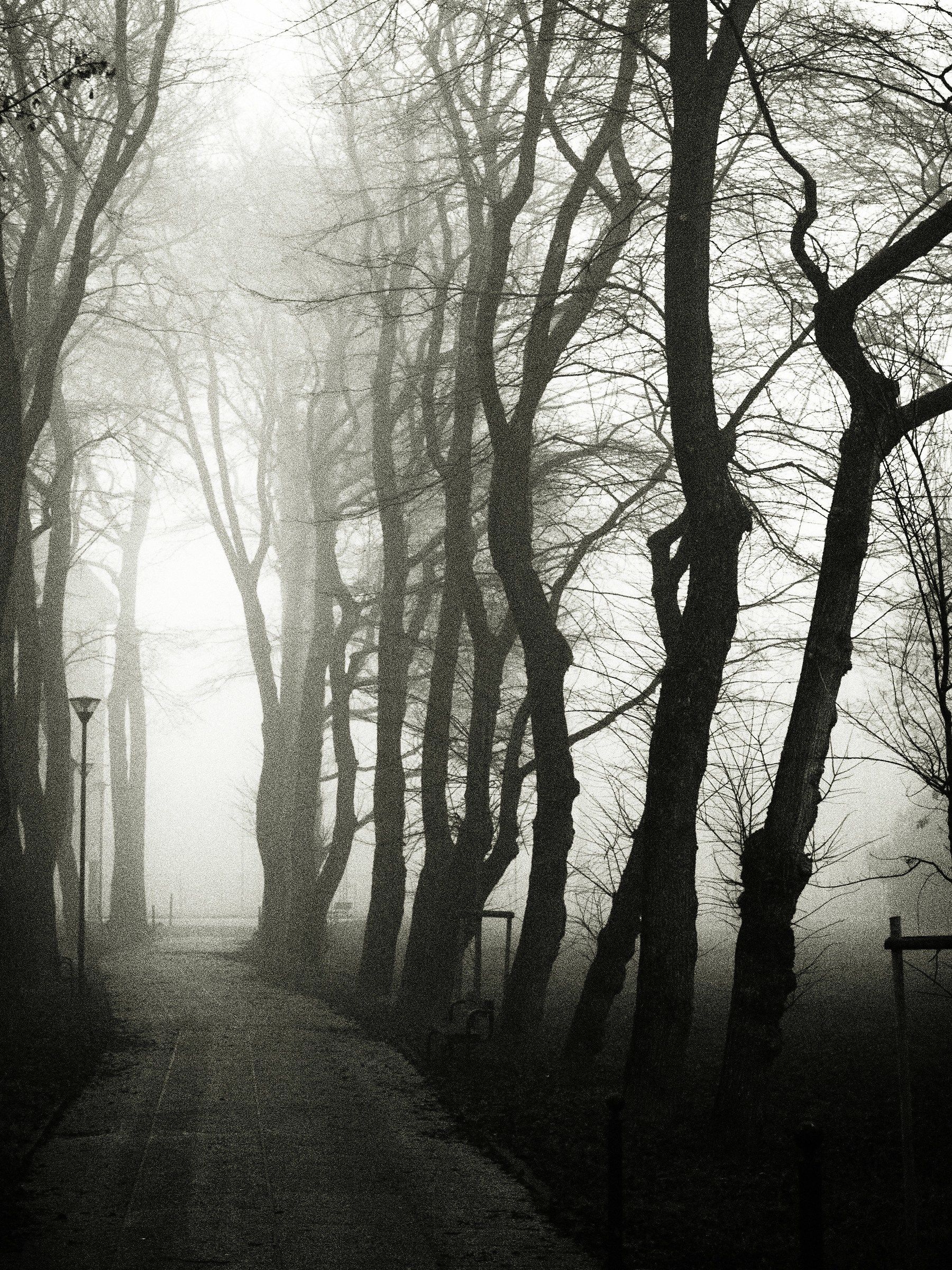 Quartiere CEP Campalto (ve)