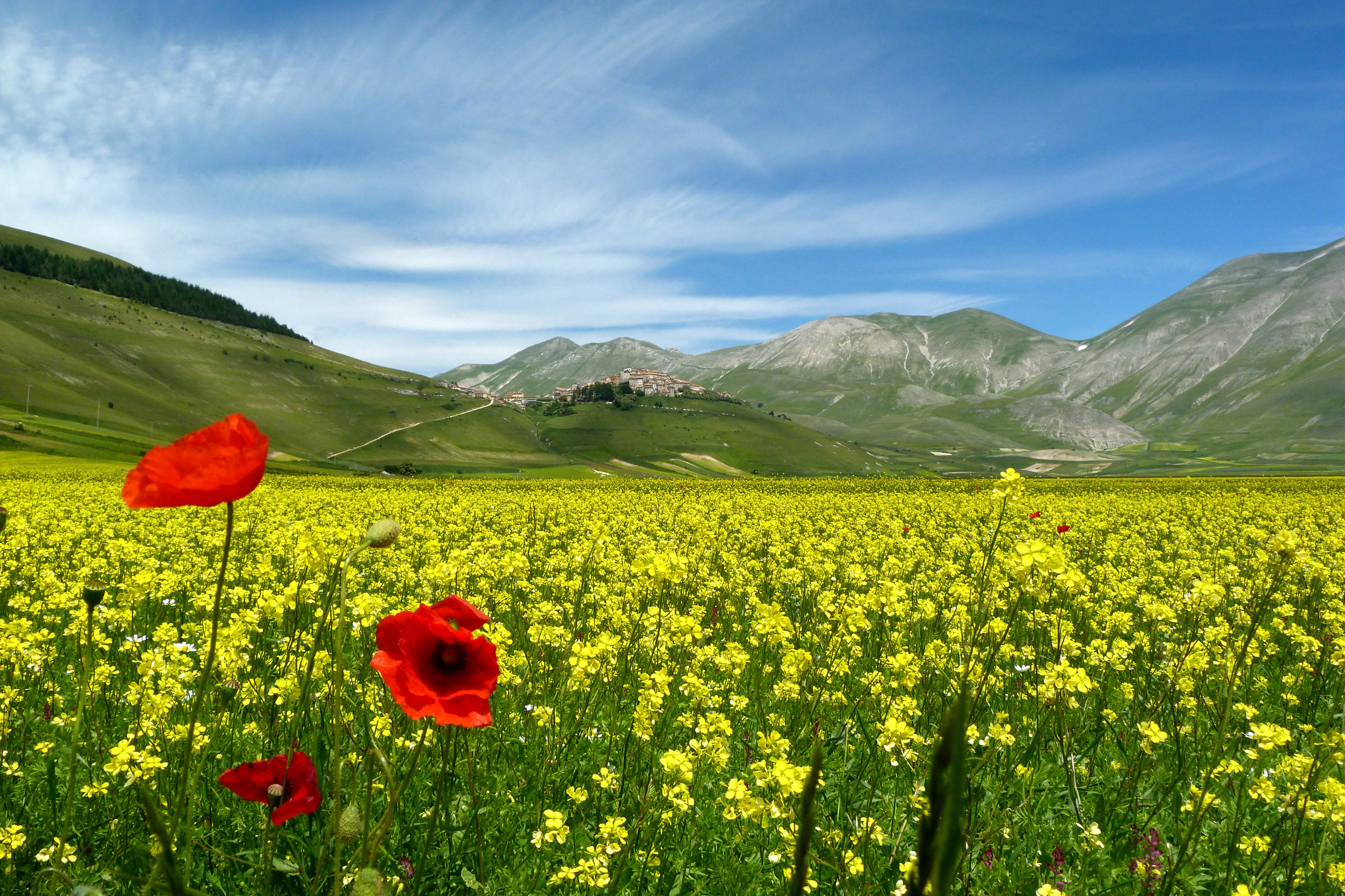Fioritura Castelluccio di Norcia
