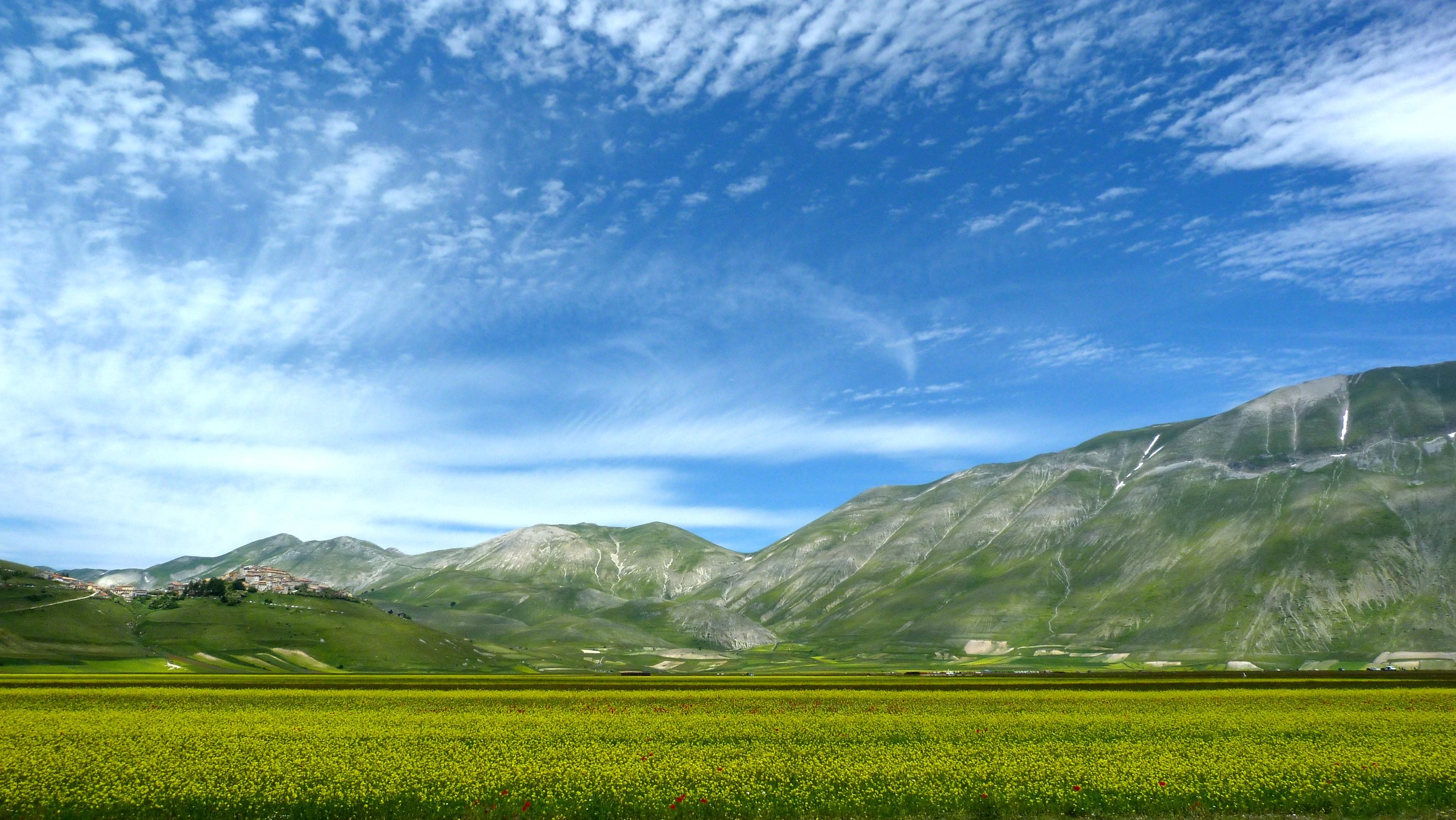 Fioritura Castelluccio  di Norcia