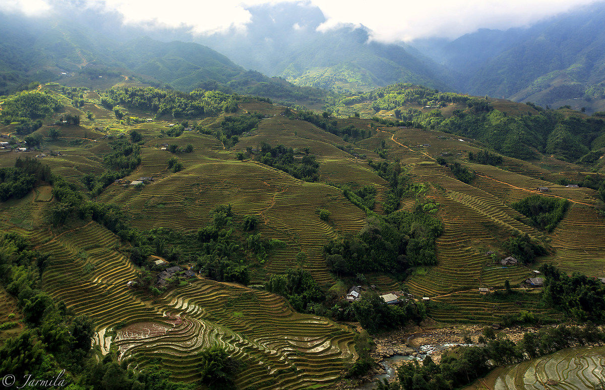 Rice terraces in the mountains Vietnamese