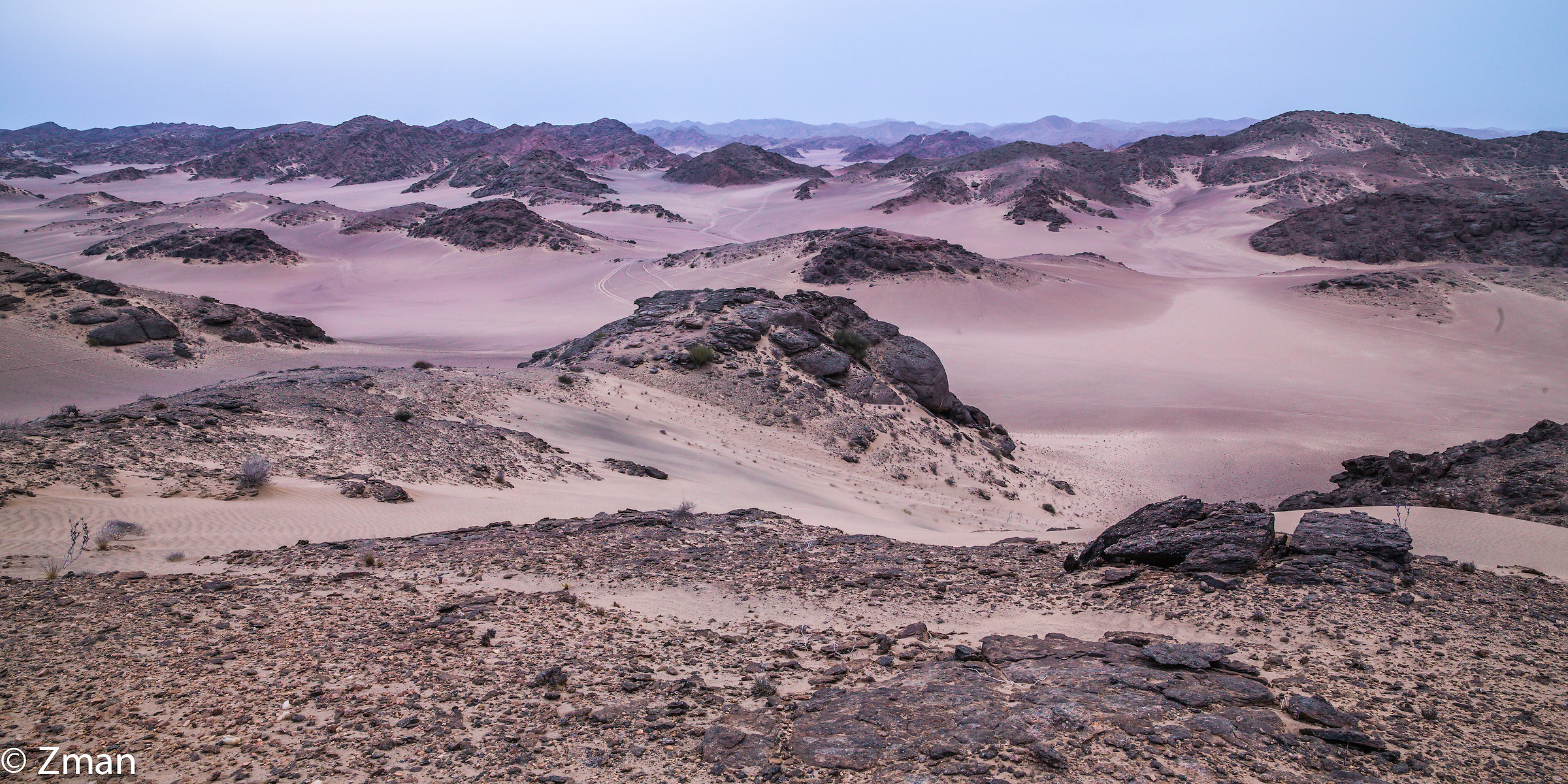 Selvatici della Namibia