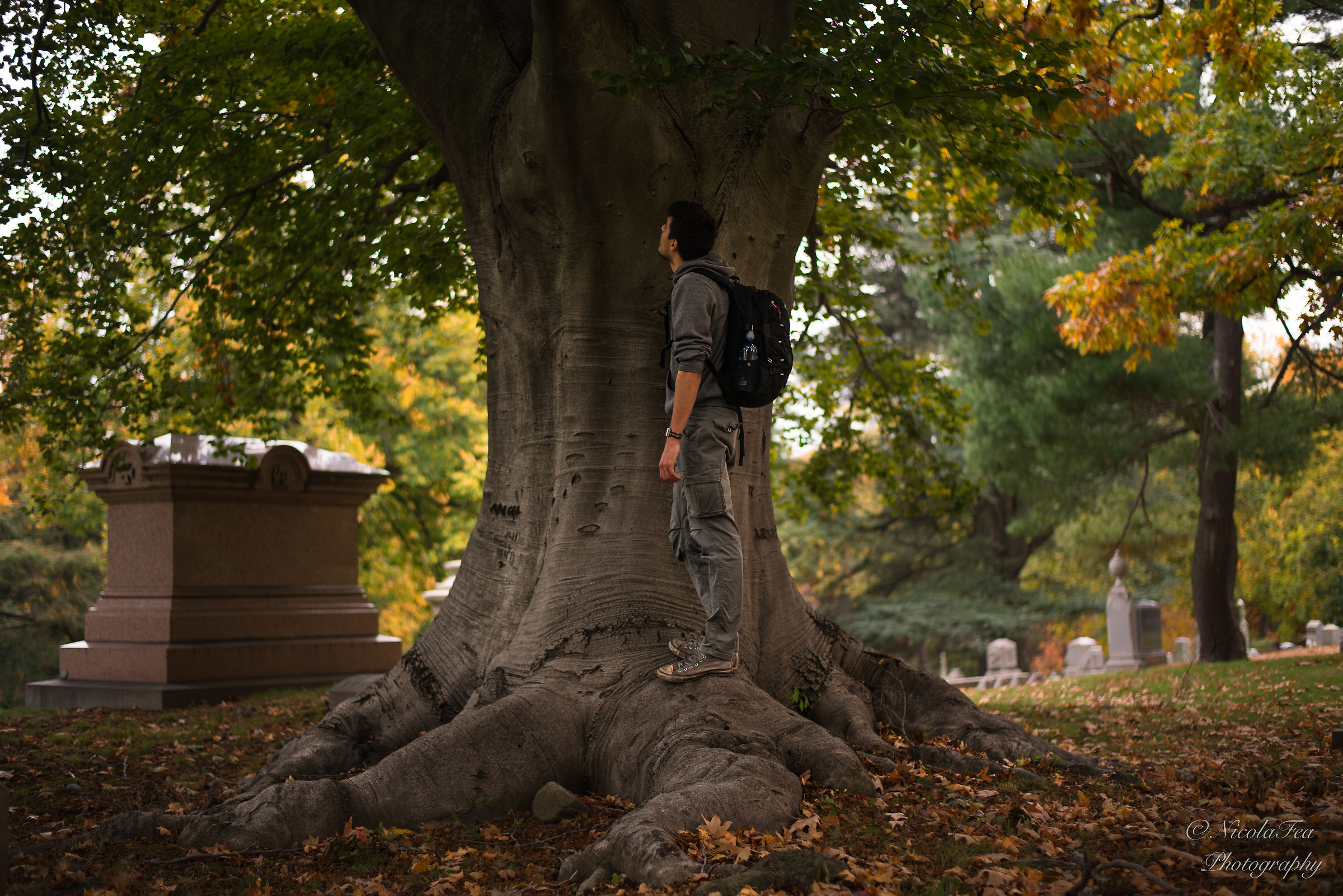 A place of life and death