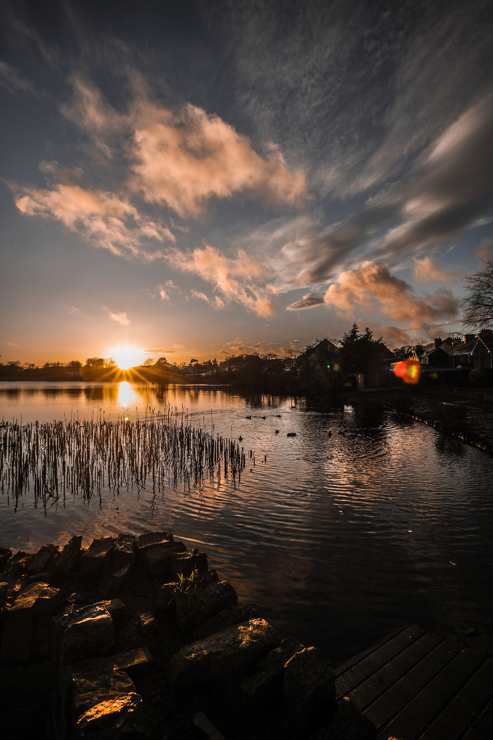 lago in Dunmanway