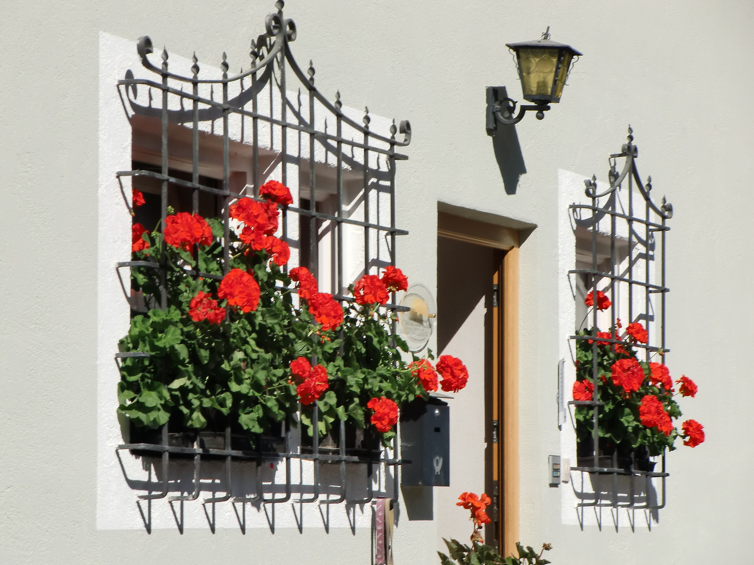 Flowers and windows 2