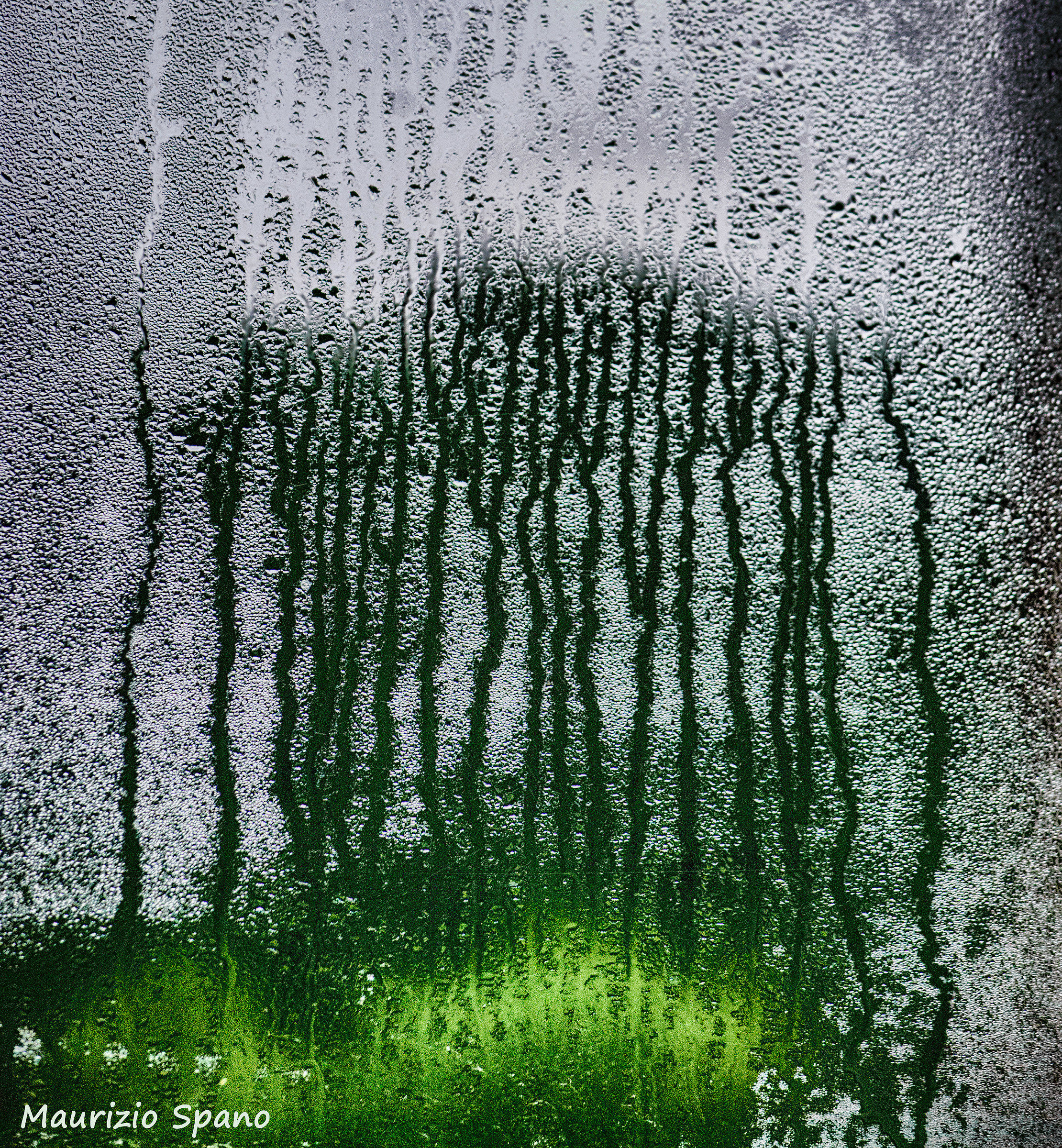 The window was my entry into the world