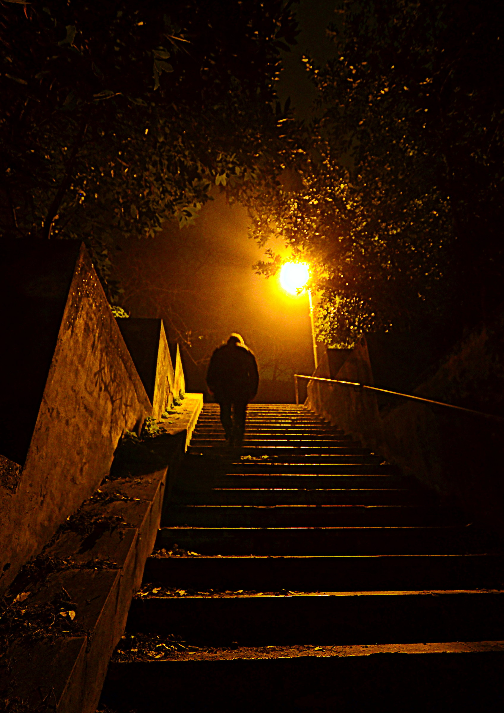 The courage of fear .....