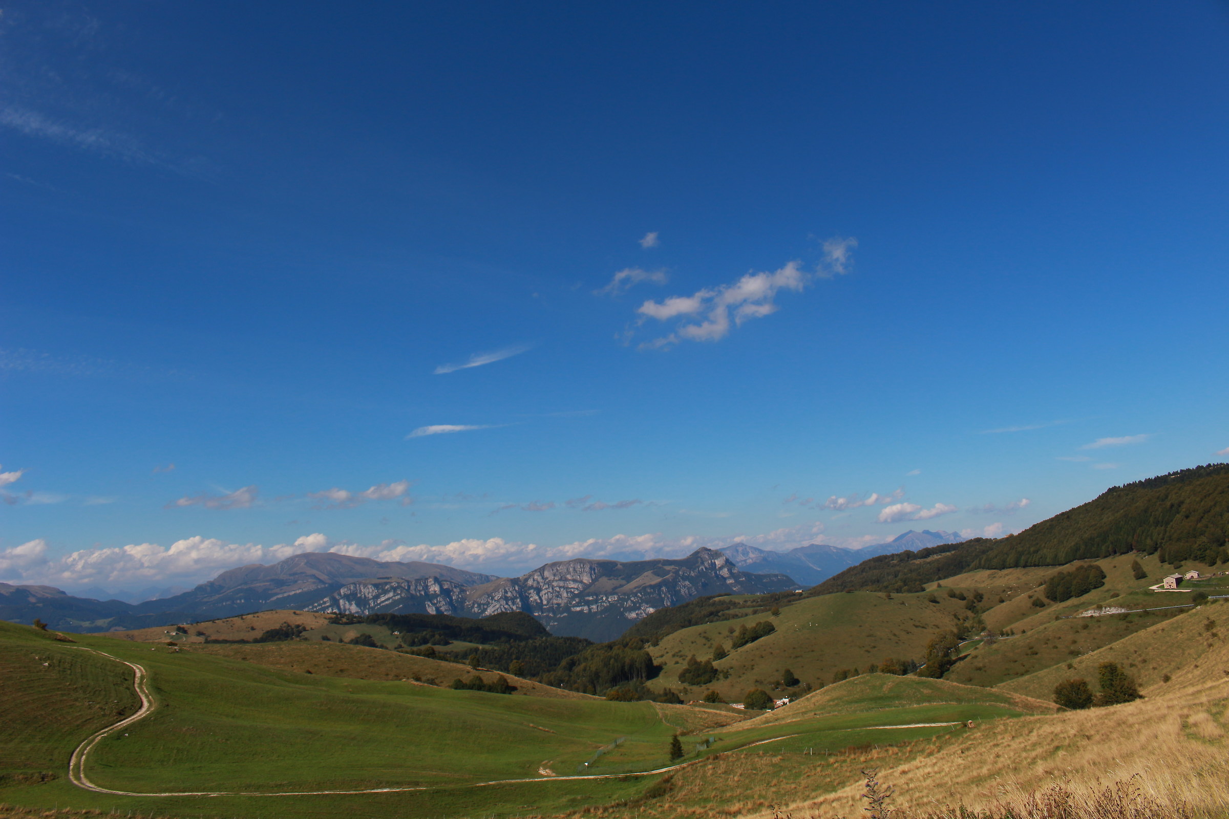 Paesaggio...sole..estate!