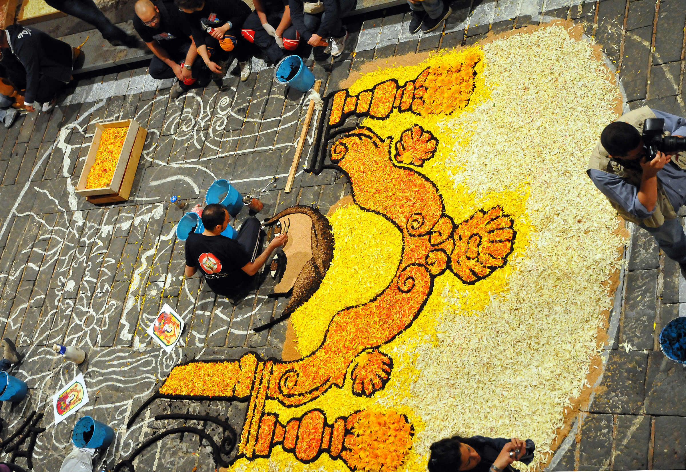 Preparativi per l'Infiorata