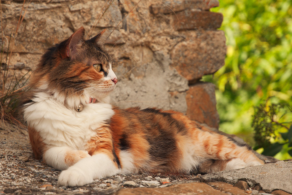 La mia adorata Mottiu!