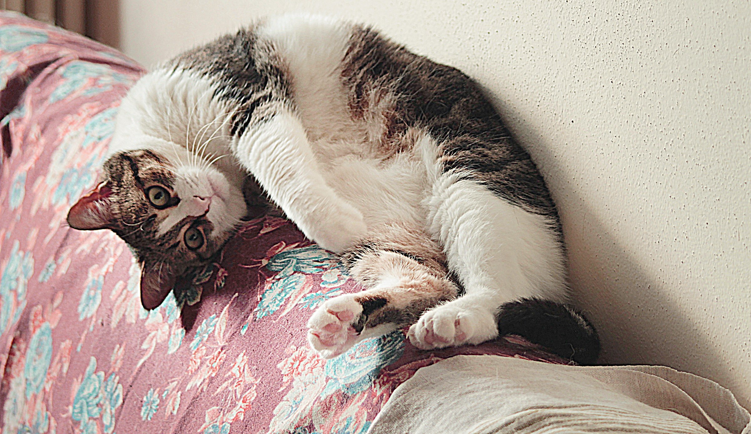 La mia Dada vecchietta in gran forma