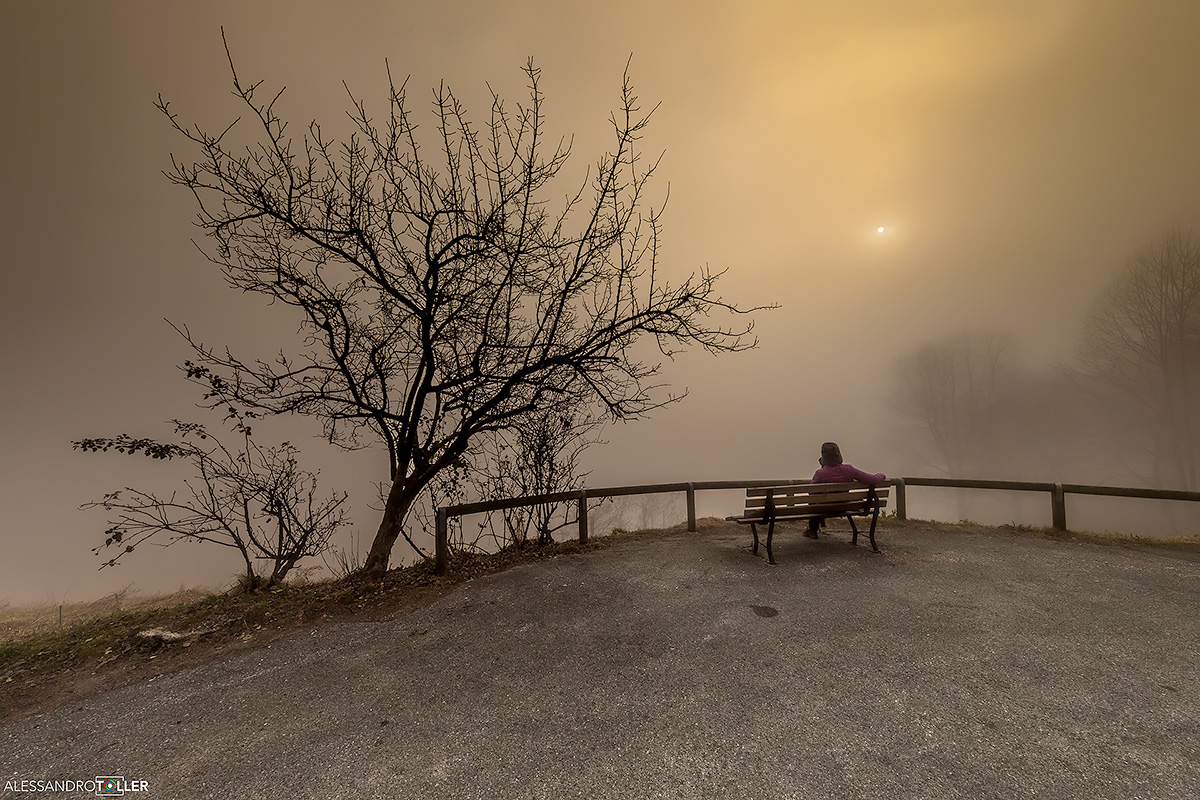 Waiting for the dawn