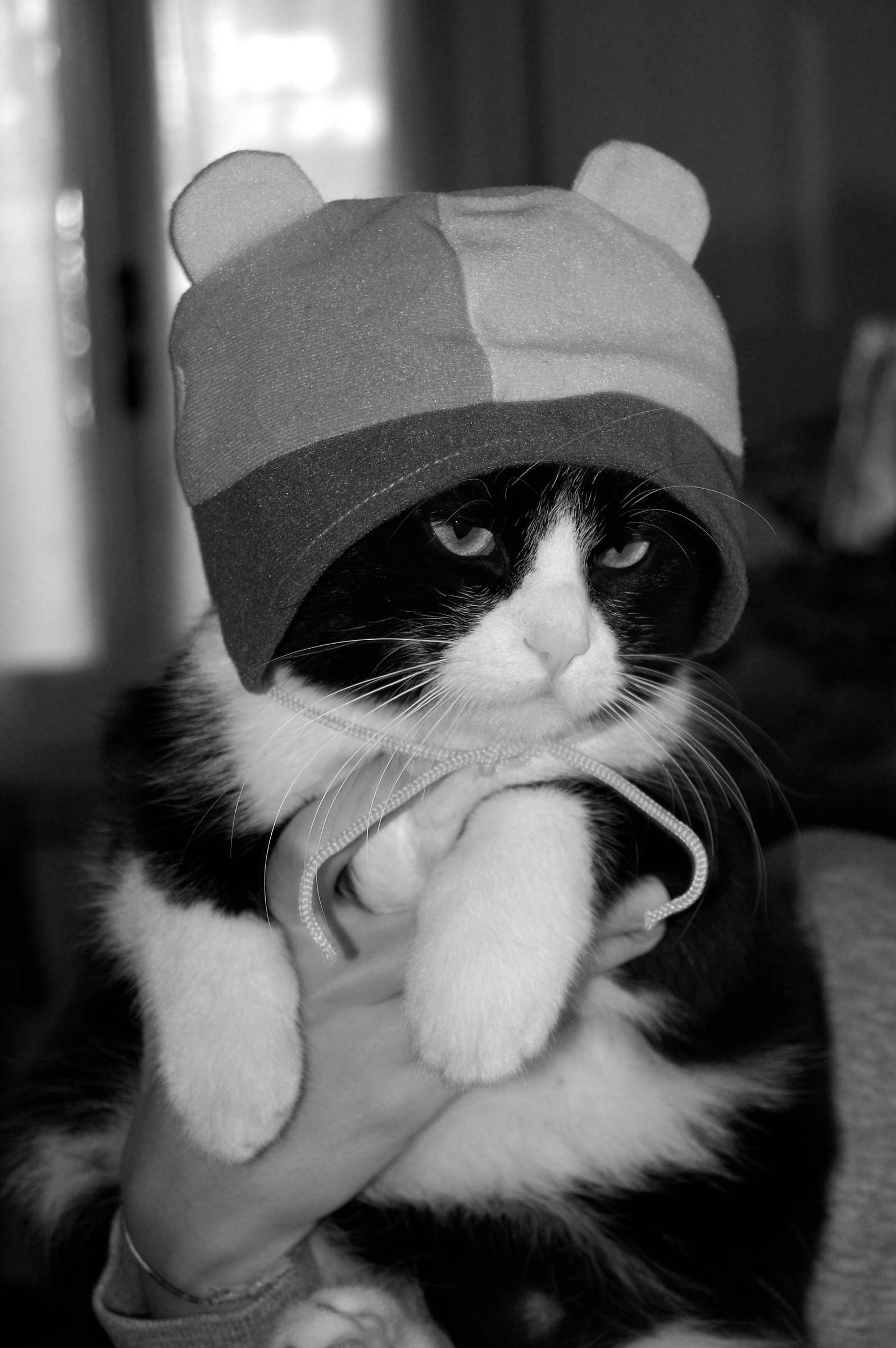 Arturo 3. In his memory