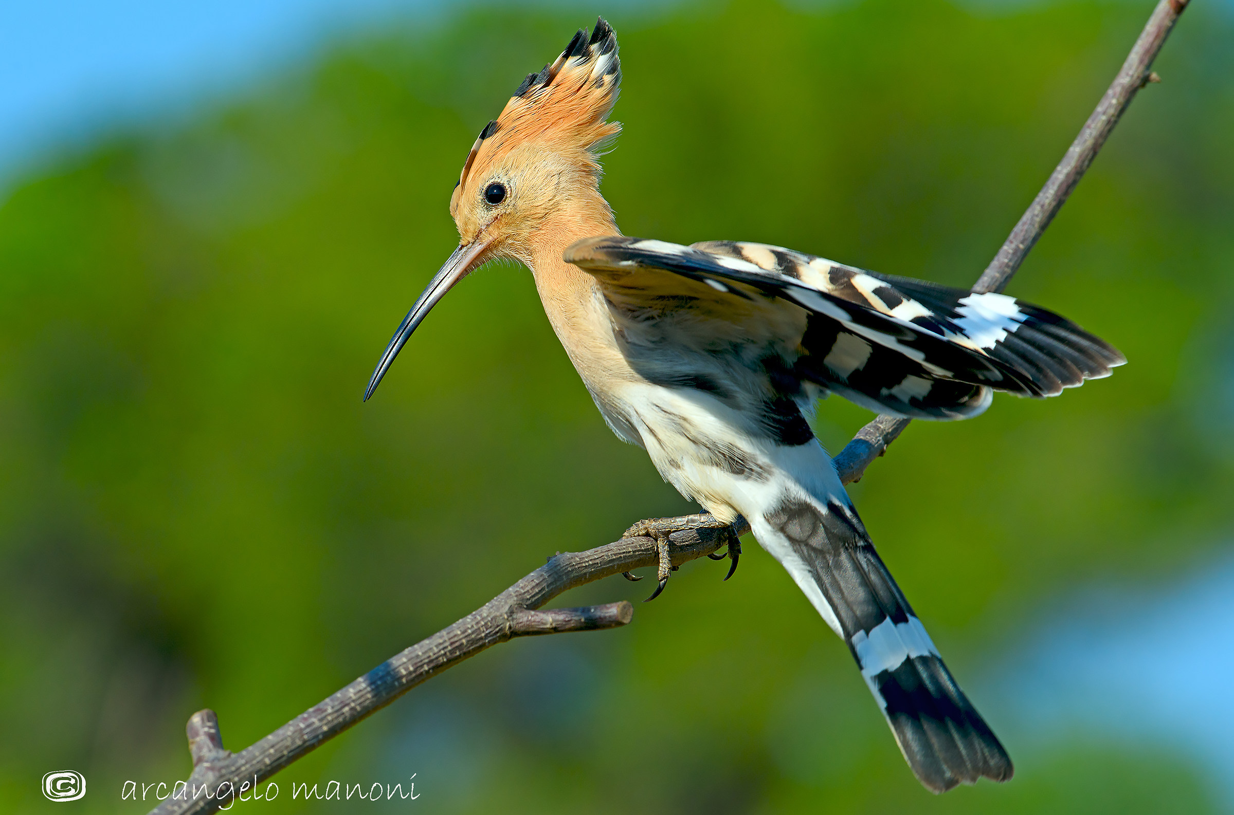 Preparazione al volo
