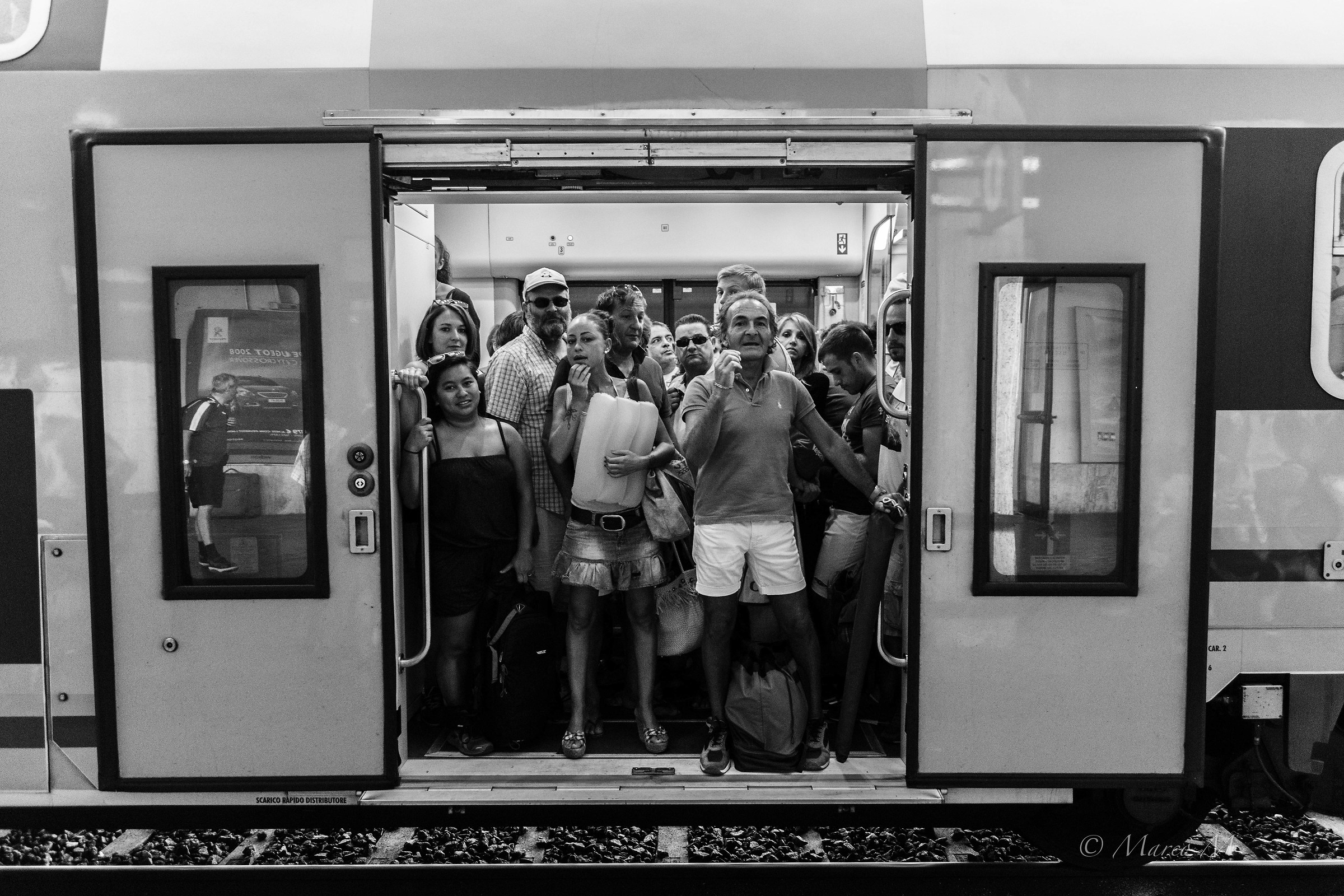 Scatoletta di sardine