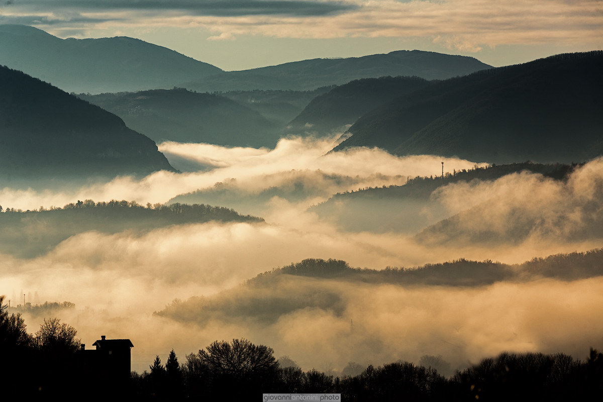 On the morning of my house ...