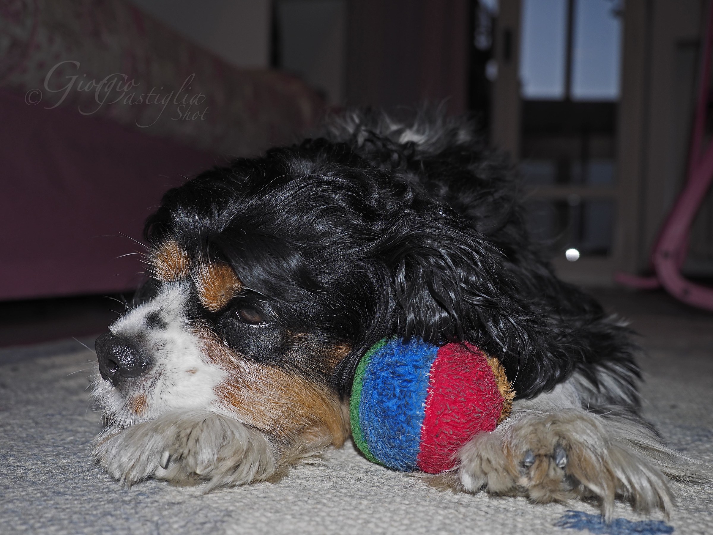 Ufff .... I'm tired of playing ....