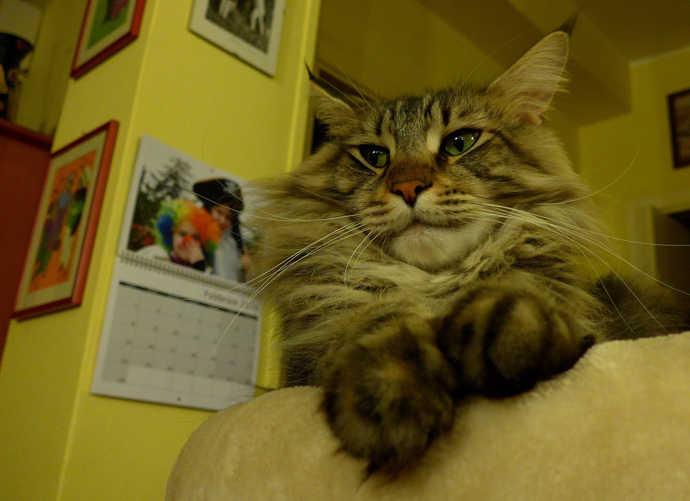 The Curmudgeon Balu '