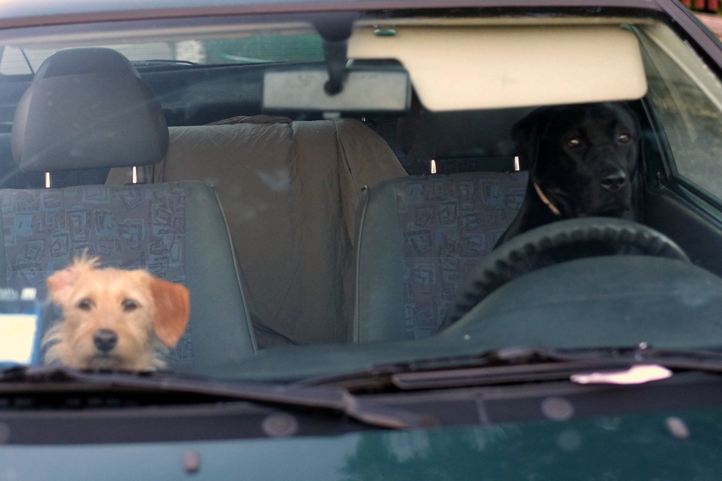 Tony brakes brakes ........