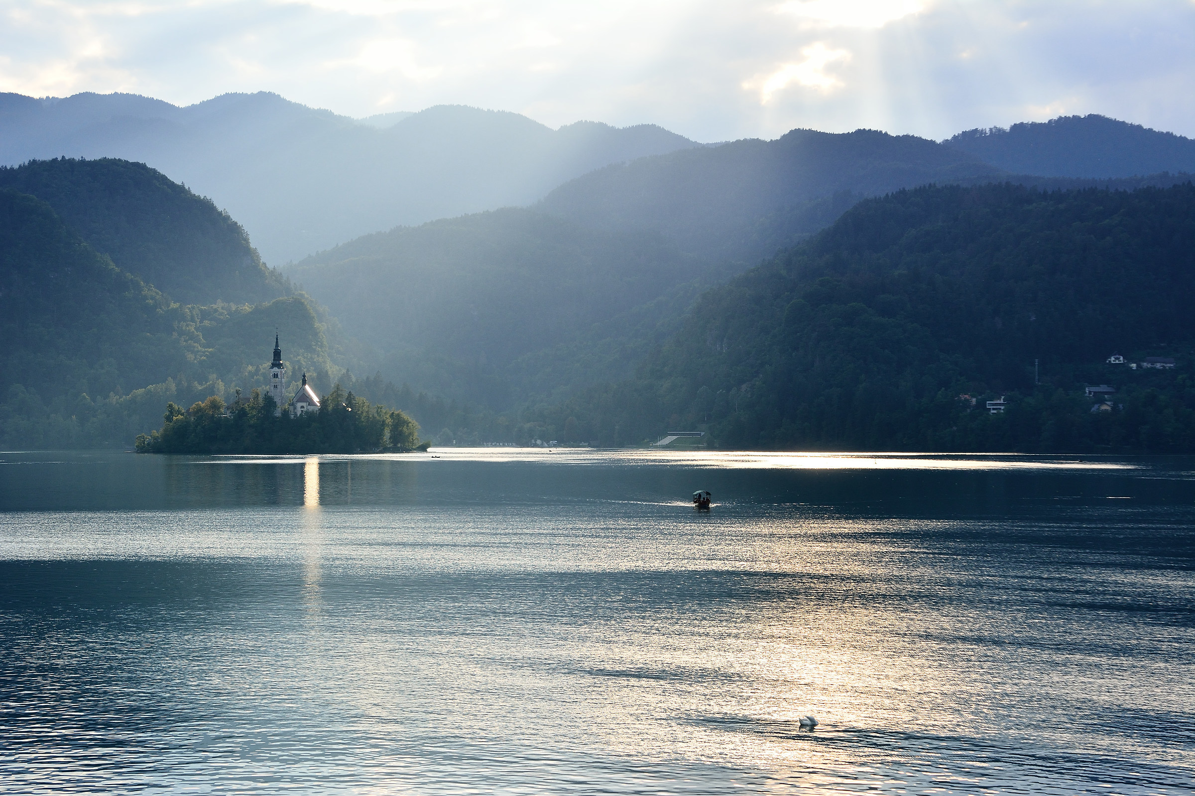 bled