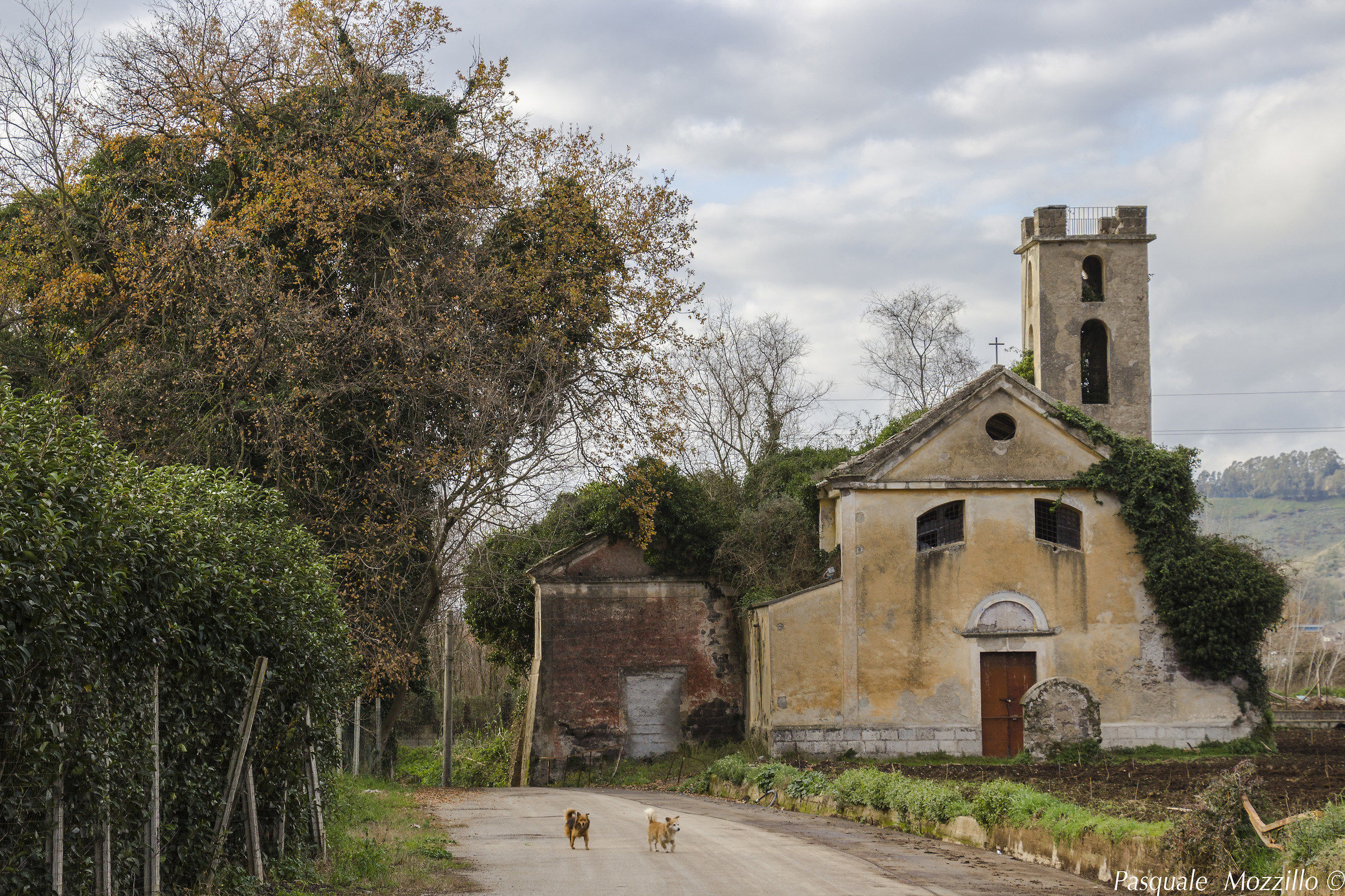abandoned church