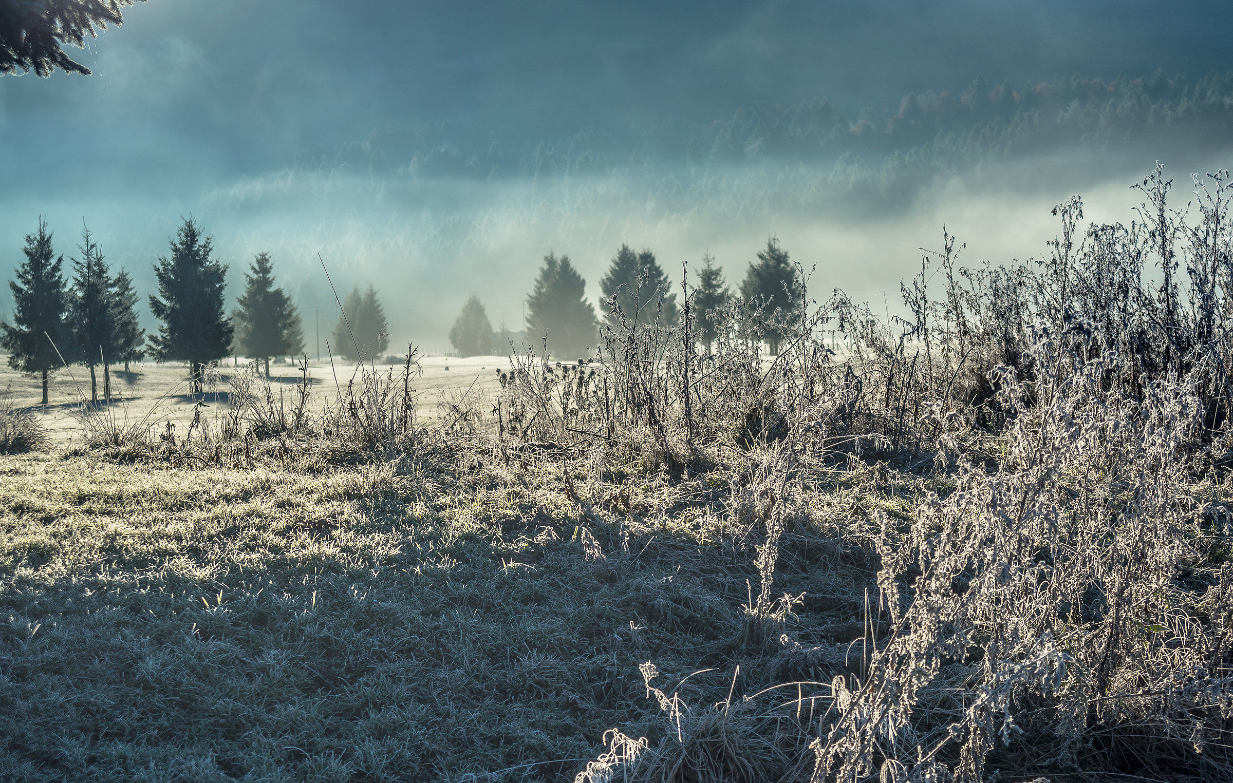 alba sul Cansiglio Belluno