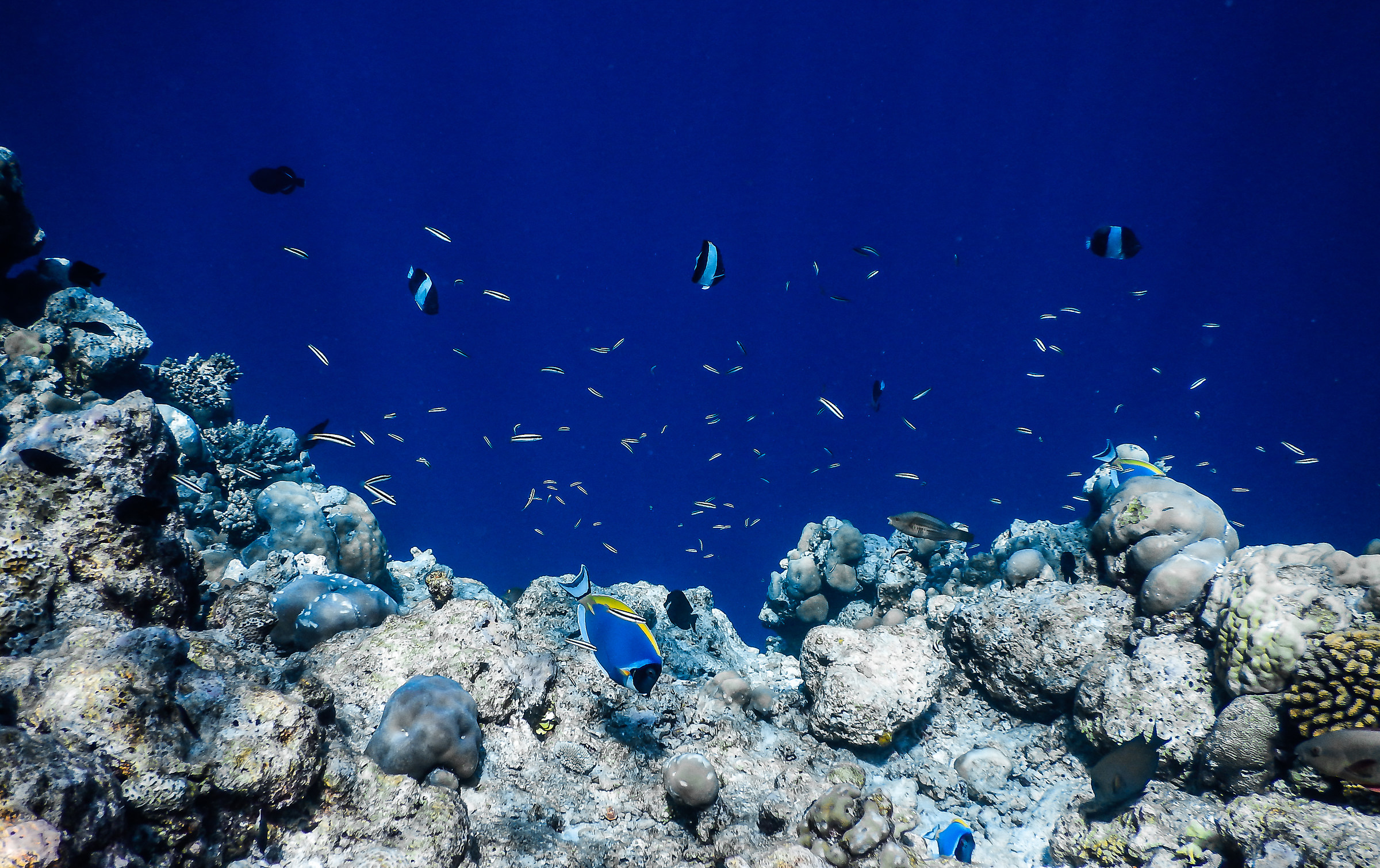 Ciao mi chiamo dori  ?