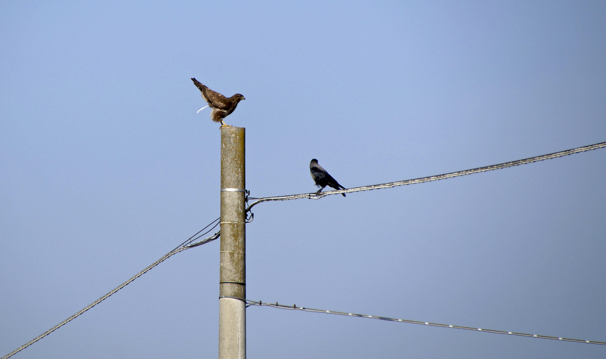 Go ahead, I on the other face