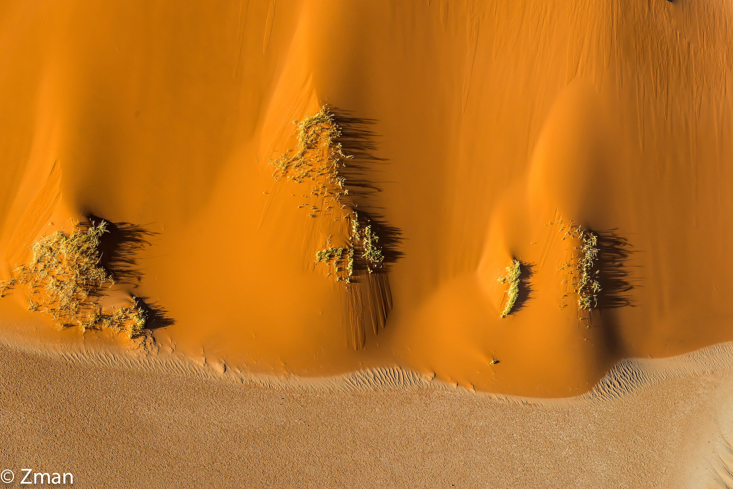 Meeting Desert Floor