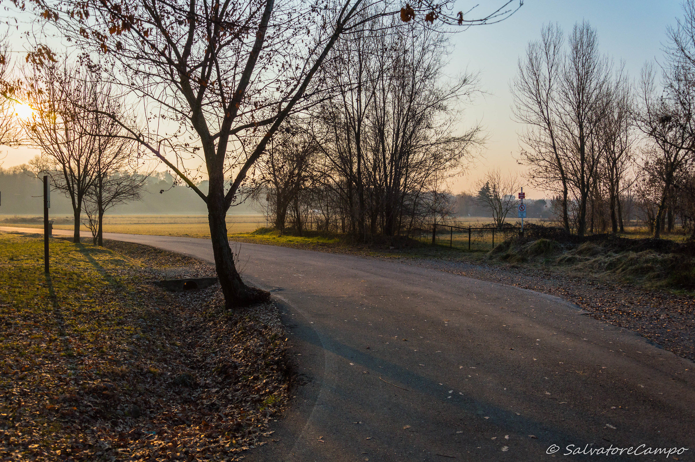 Alba - low Roncola (bg)