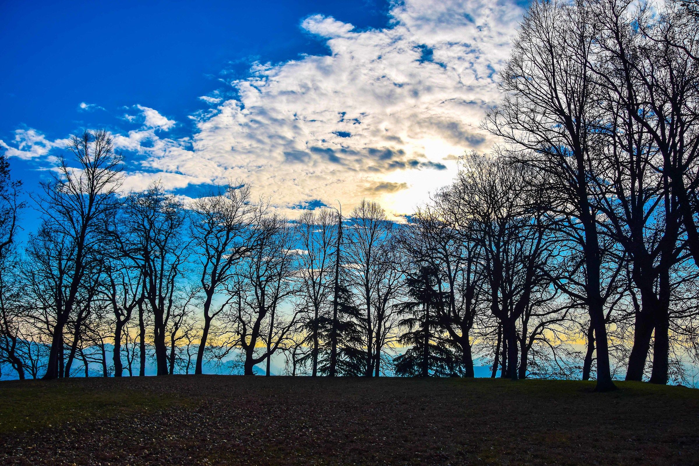 Park of the Castle of Calamandrana Alta (at)