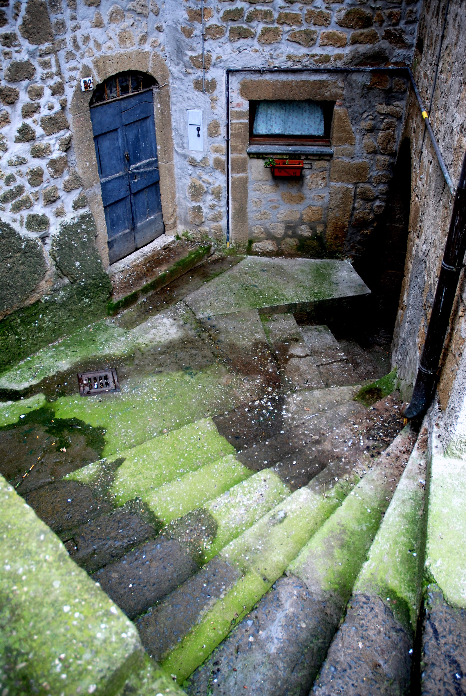 il mondo è fatto a scale...