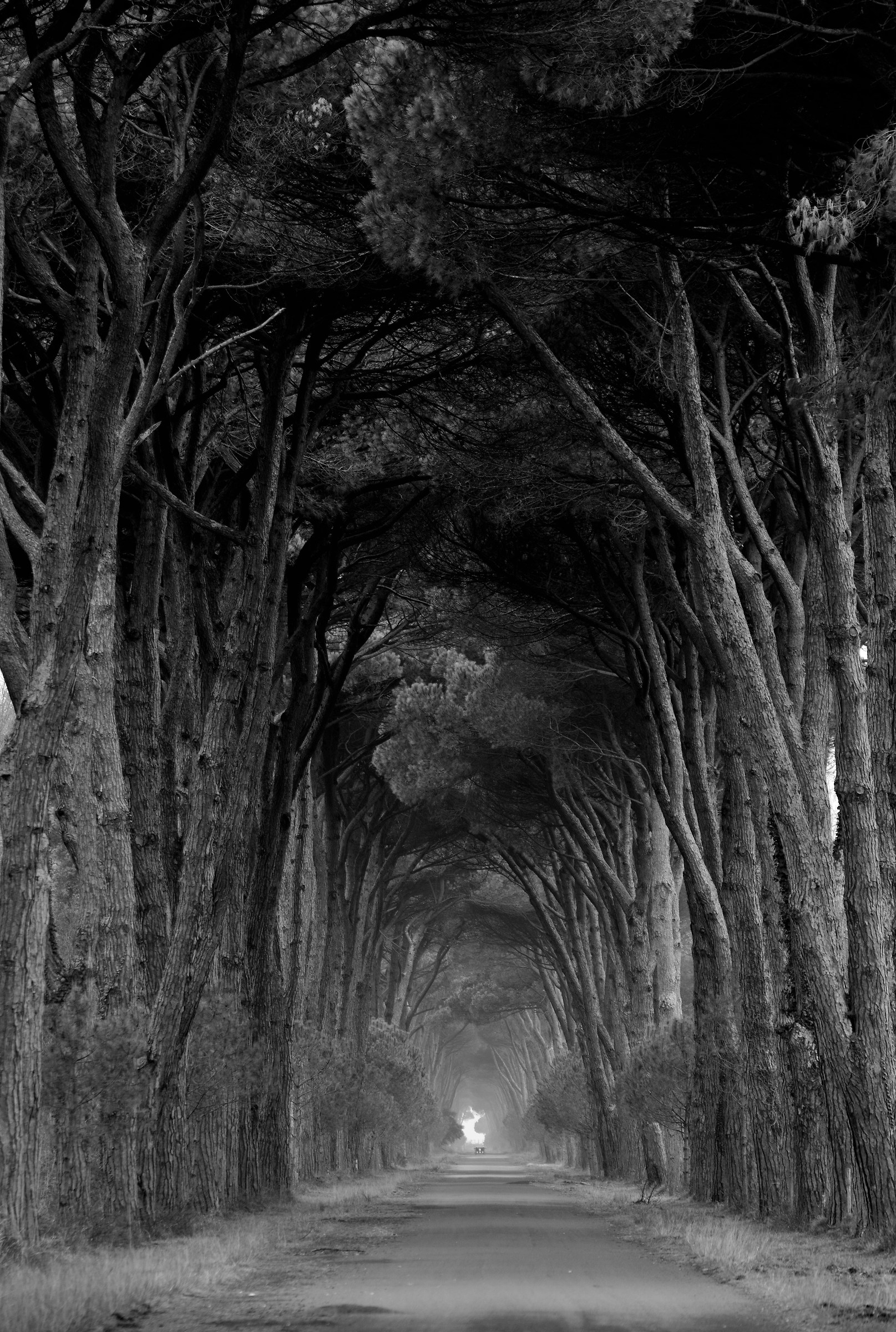 The light at the end of the tunnel