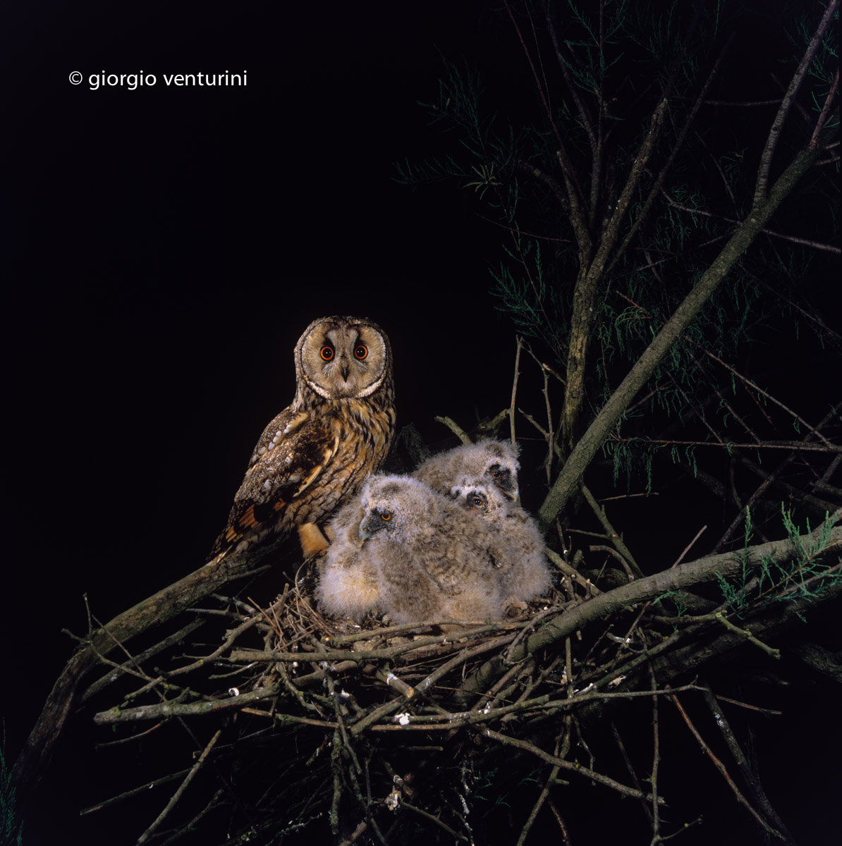 ritratto di famiglia