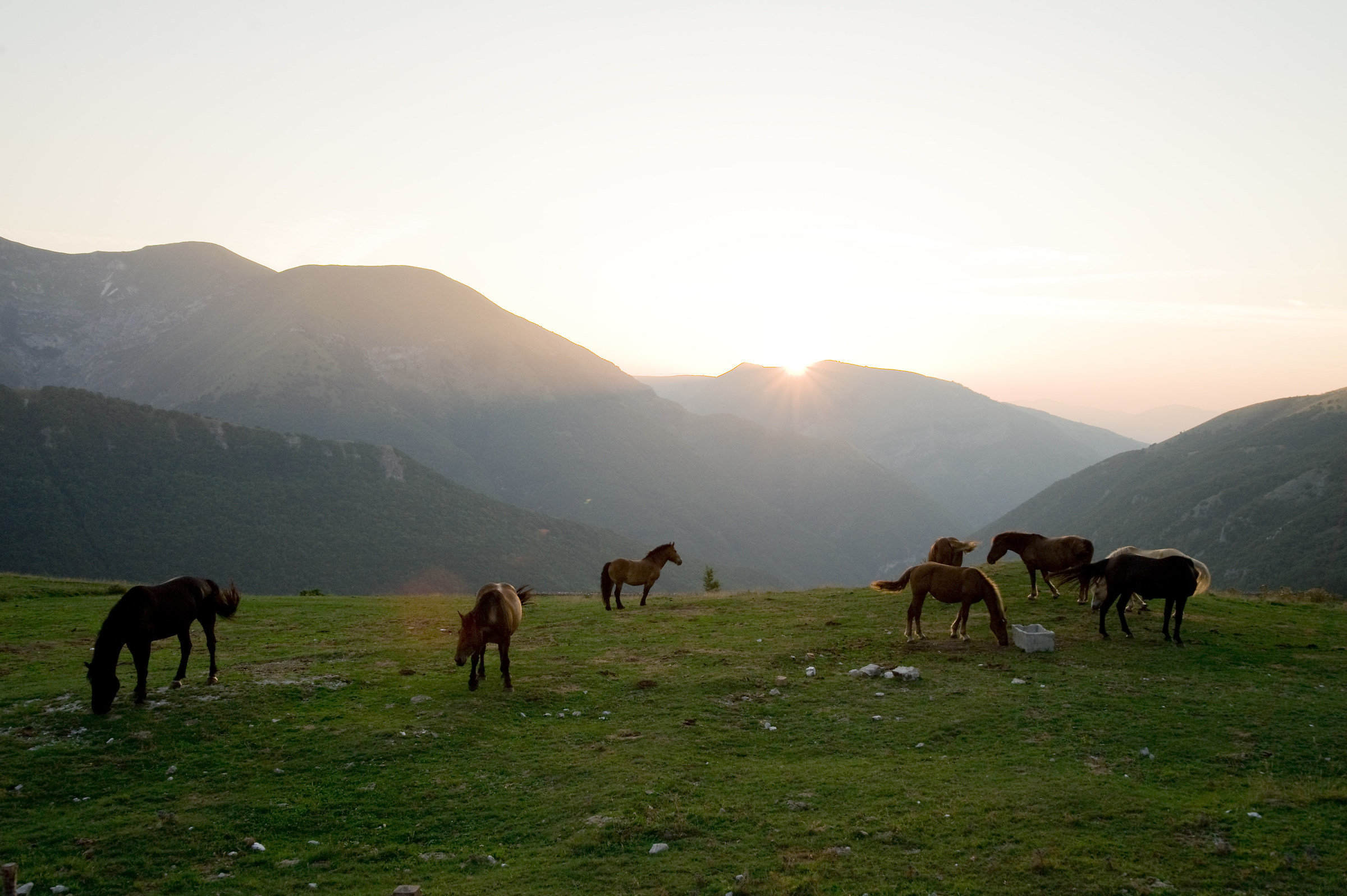 È' ora di rientrare