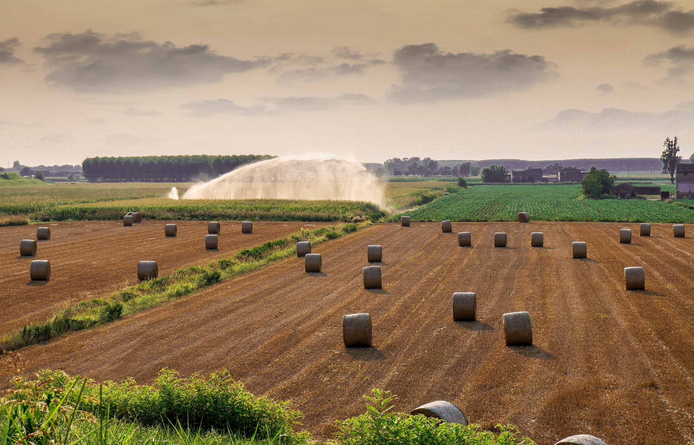 Round bales in Mantua 2